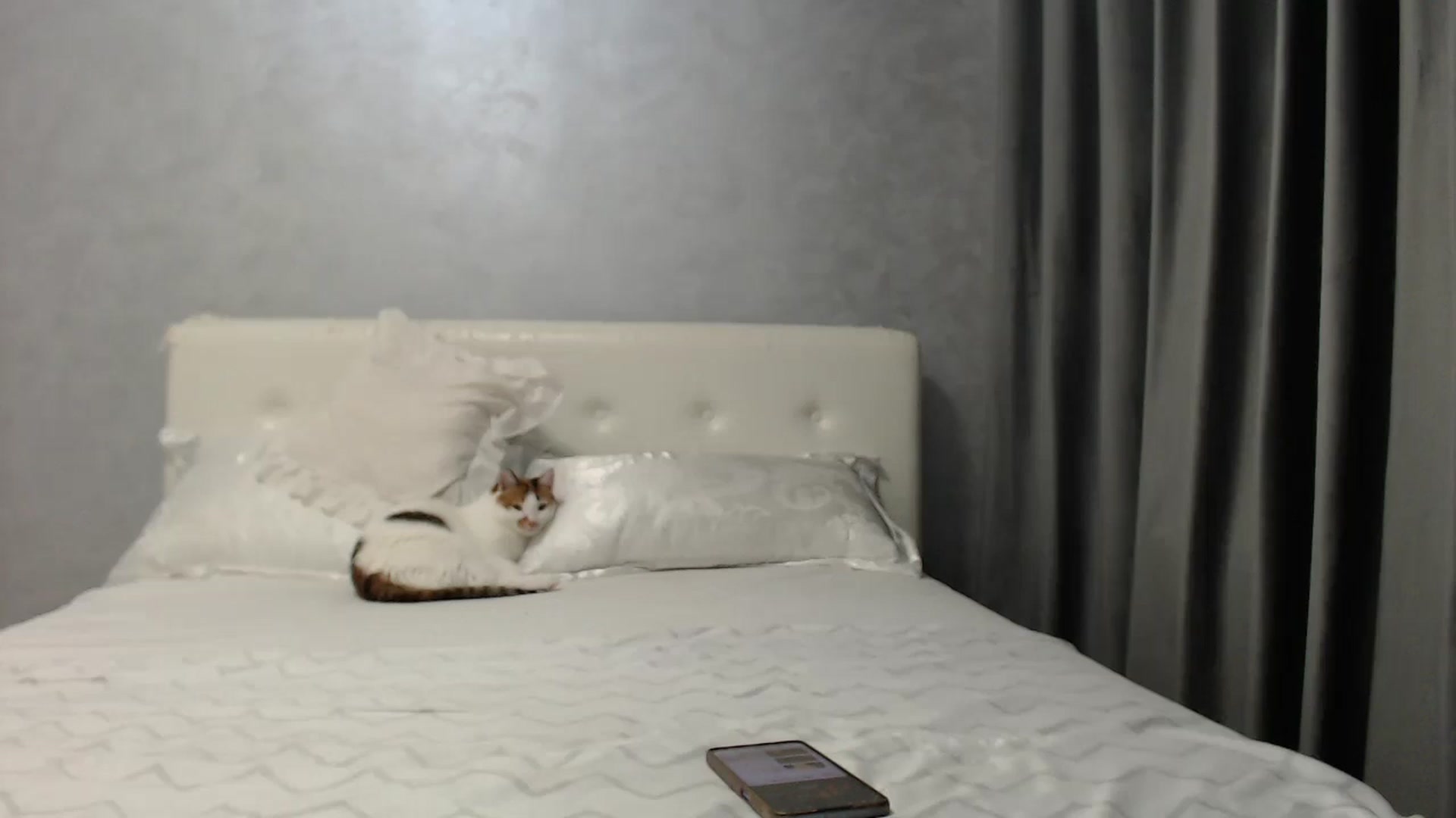 Gallery image thumbnail from Aahh_Emilia's myfreecams stream on, 07/10/2025, 17:07 image 10 of 20