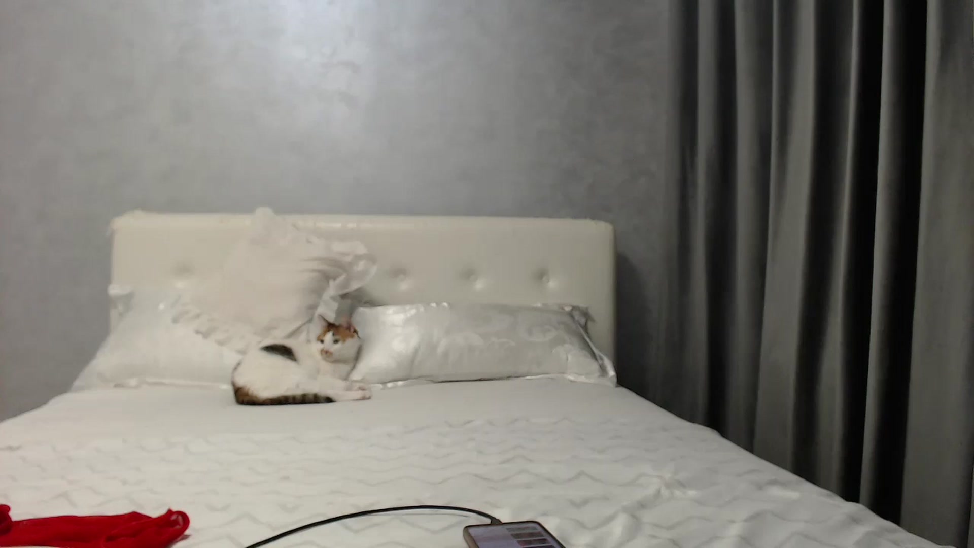 Gallery image thumbnail from Aahh_Emilia's myfreecams stream on, 07/10/2025, 17:07 image 19 of 20