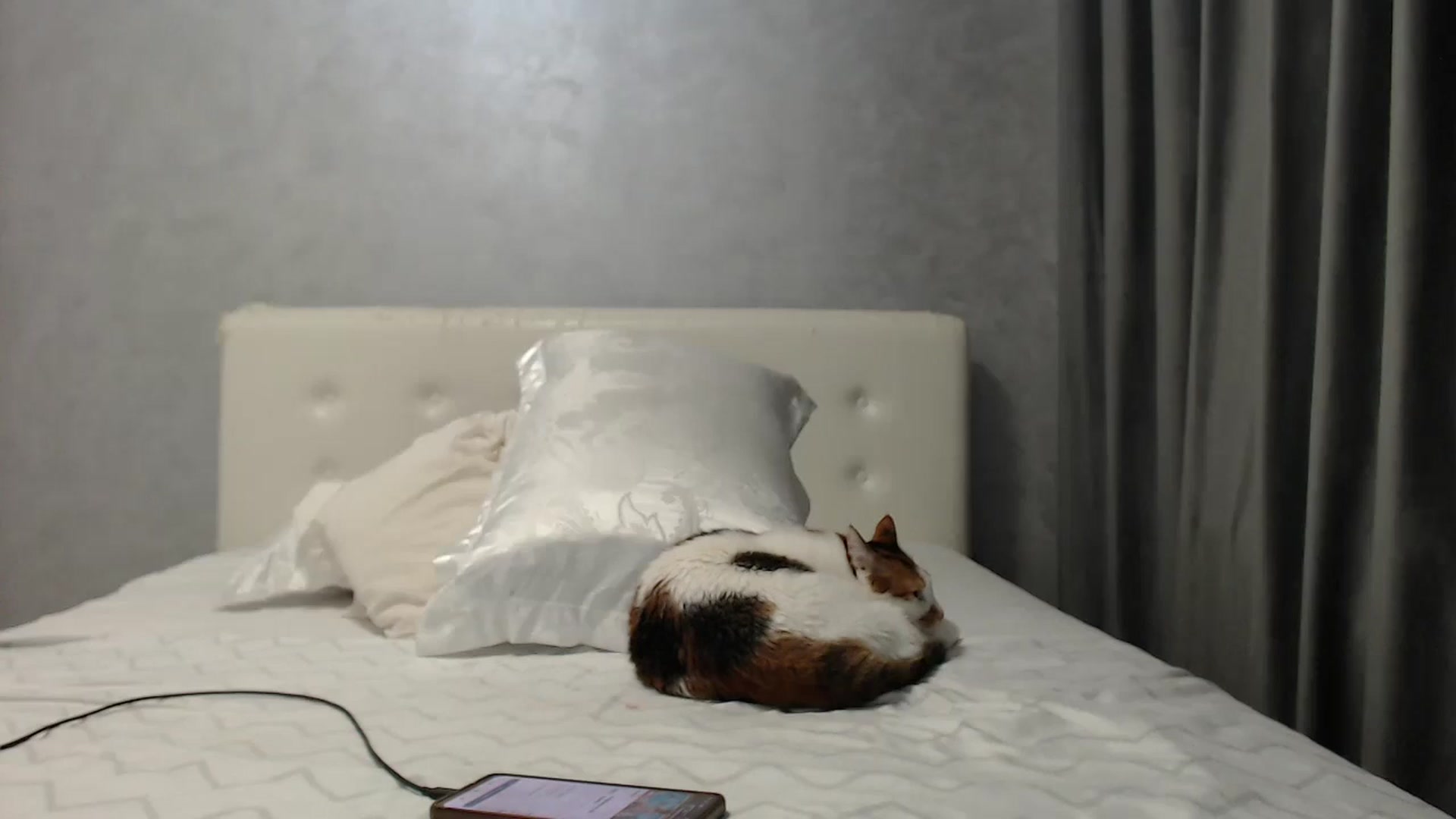 Gallery image thumbnail from Aahh_Emilia's myfreecams stream on, 07/12/2025, 18:21 image 16 of 20