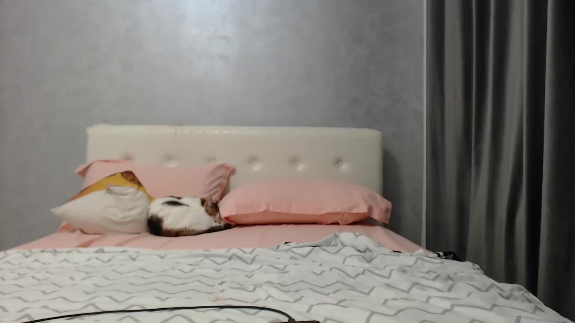 Gallery image thumbnail from Aahh_Emilia's myfreecams stream on, 07/18/2025, 16:55 image 18 of 20