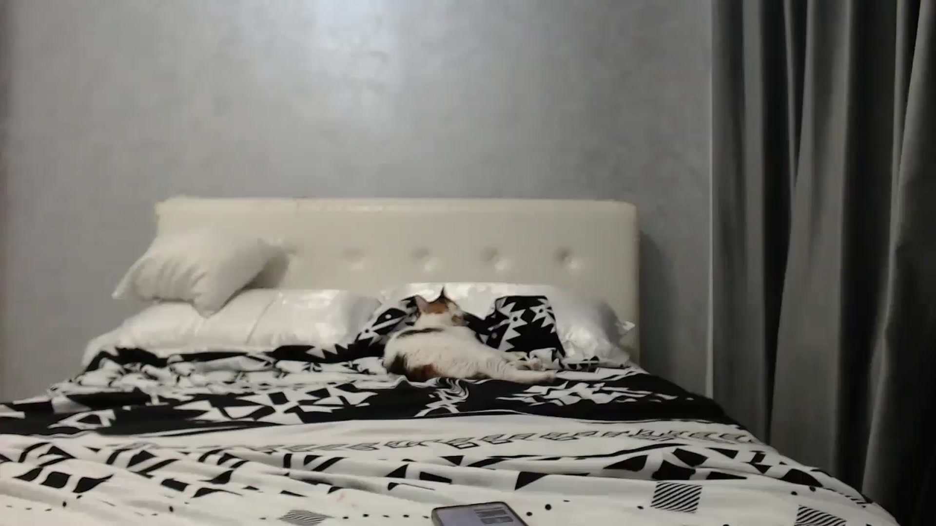 Gallery image thumbnail from Aahh_Emilia's myfreecams stream on, 07/26/2025, 16:31 image 15 of 20