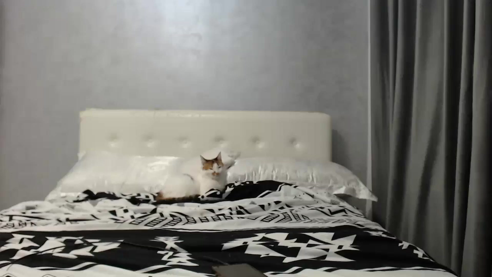 Gallery image thumbnail from Aahh_Emilia's myfreecams stream on, 07/29/2025, 16:35 image 19 of 20