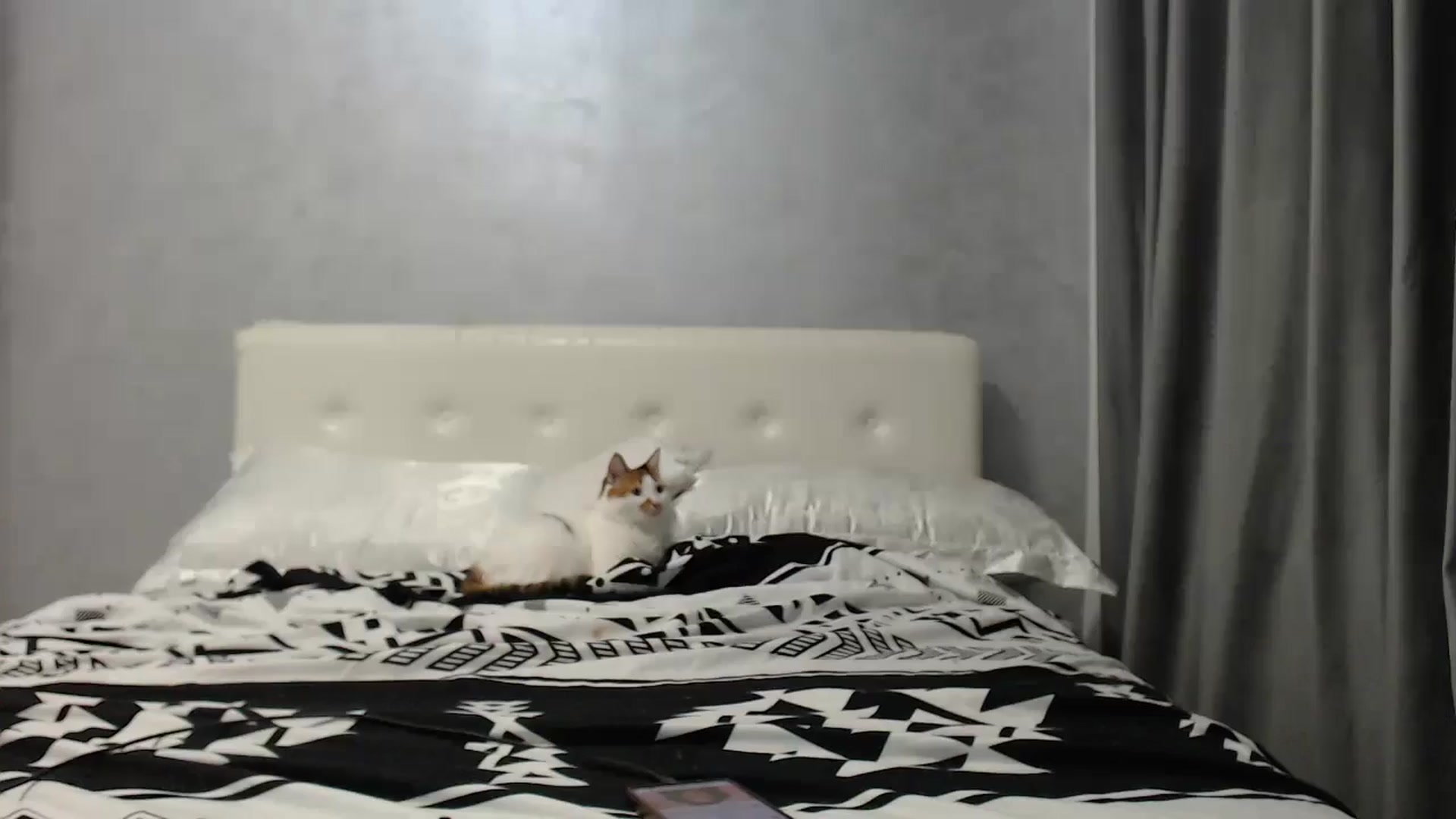 Gallery image thumbnail from Aahh_Emilia's myfreecams stream on, 07/29/2025, 16:35 image 18 of 20