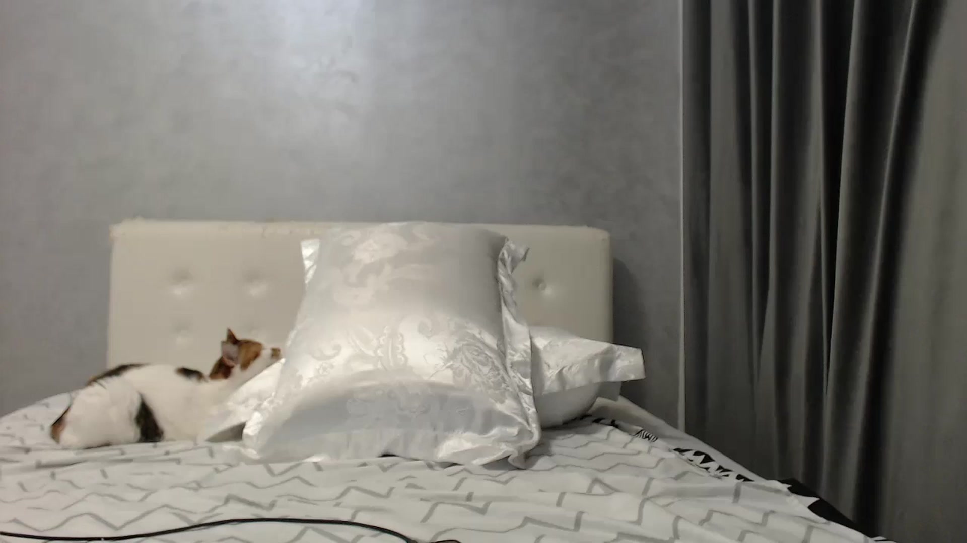 Gallery image thumbnail from Aahh_Emilia's myfreecams stream on, 07/30/2025, 18:09 image 19 of 20