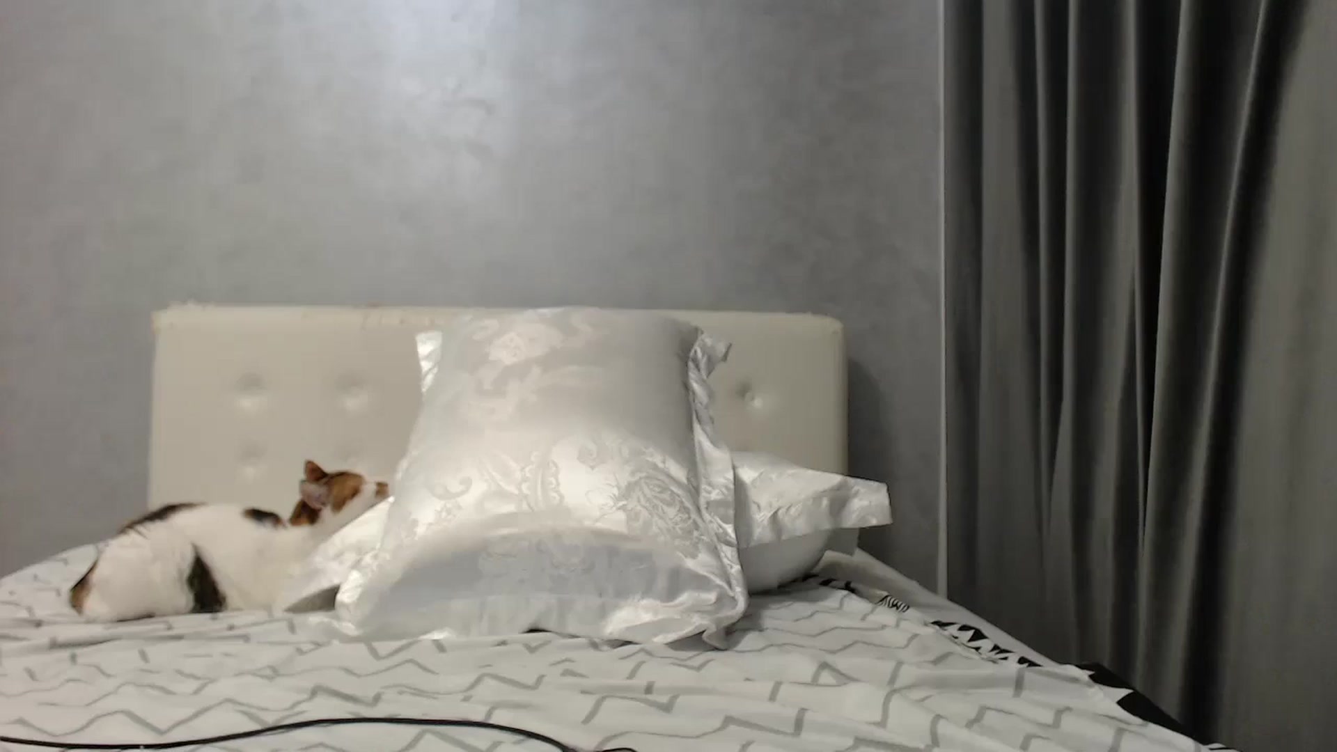 Gallery image thumbnail from Aahh_Emilia's myfreecams stream on, 07/30/2025, 18:09 image 18 of 20