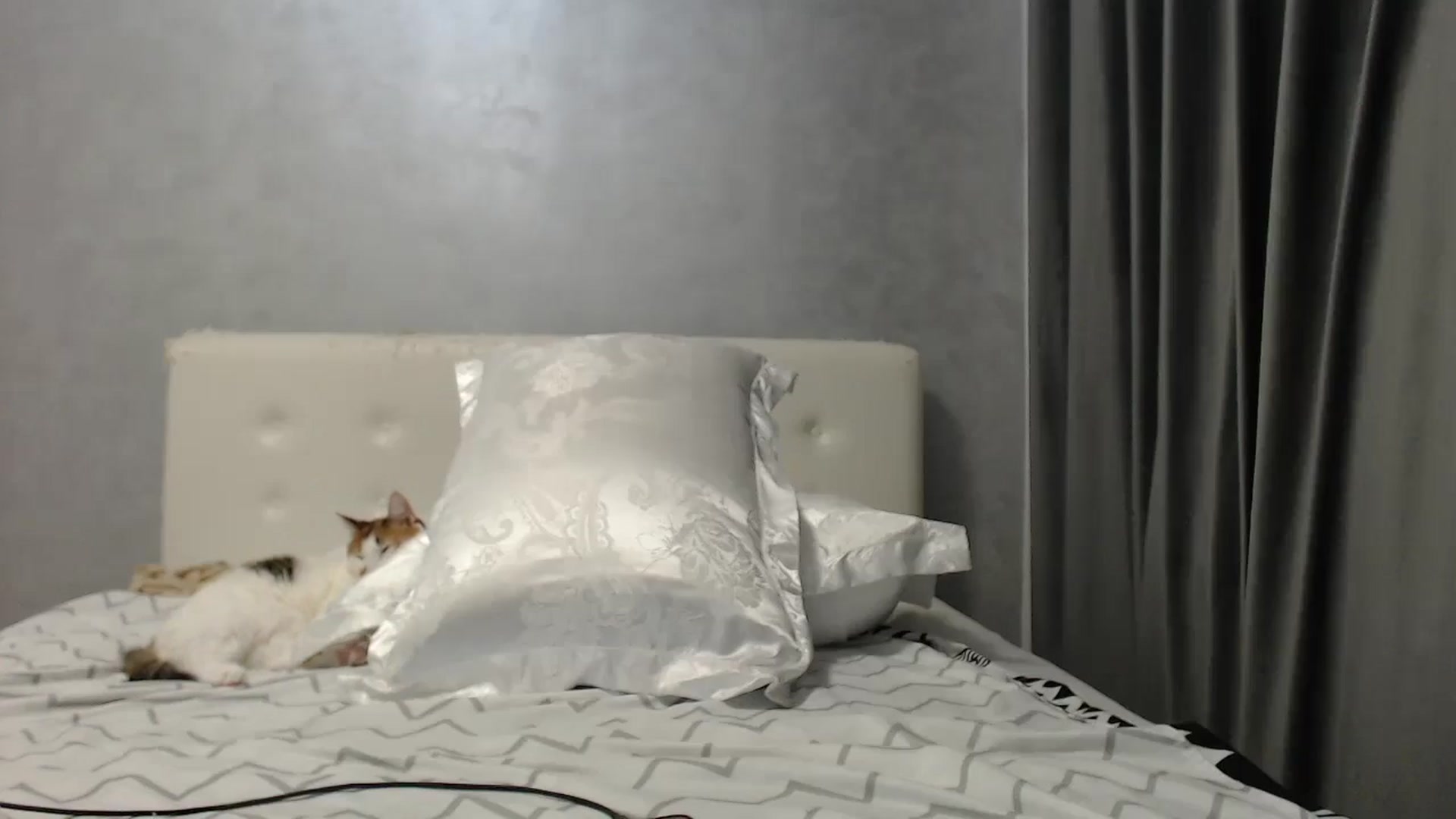 Gallery image thumbnail from Aahh_Emilia's myfreecams stream on, 07/30/2025, 18:09 image 15 of 20