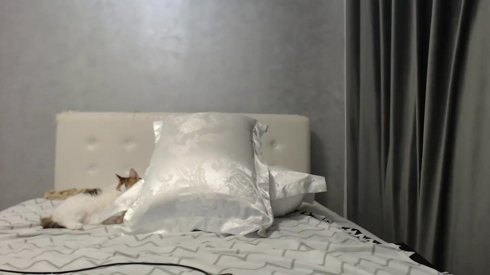 Gallery image thumbnail from Aahh_Emilia's myfreecams stream on, 07/30/2025, 18:09 image 16 of 20