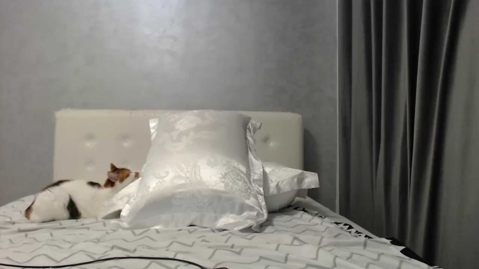 Gallery image thumbnail from Aahh_Emilia's myfreecams stream on, 07/30/2025, 18:09 image 17 of 20