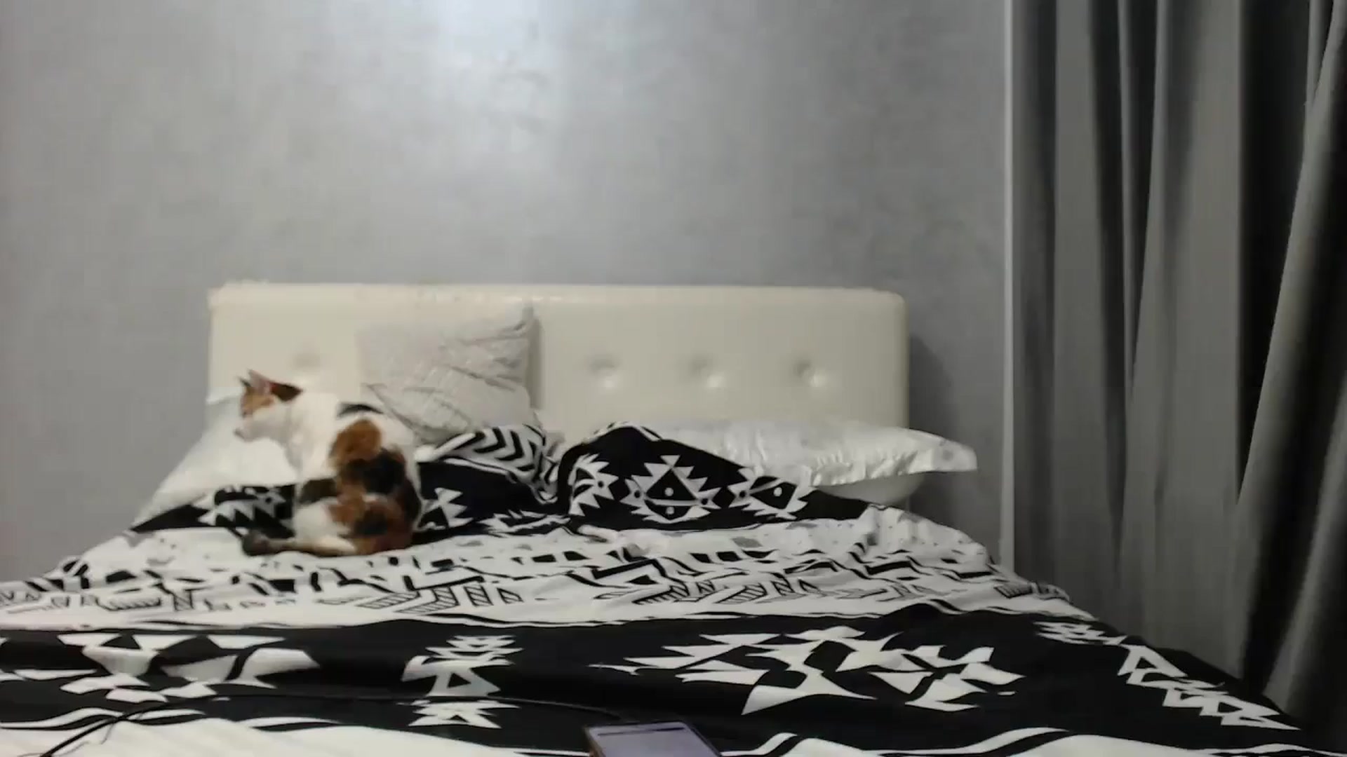 Gallery image thumbnail from Aahh_Emilia's myfreecams stream on, 07/31/2025, 16:48 image 7 of 20