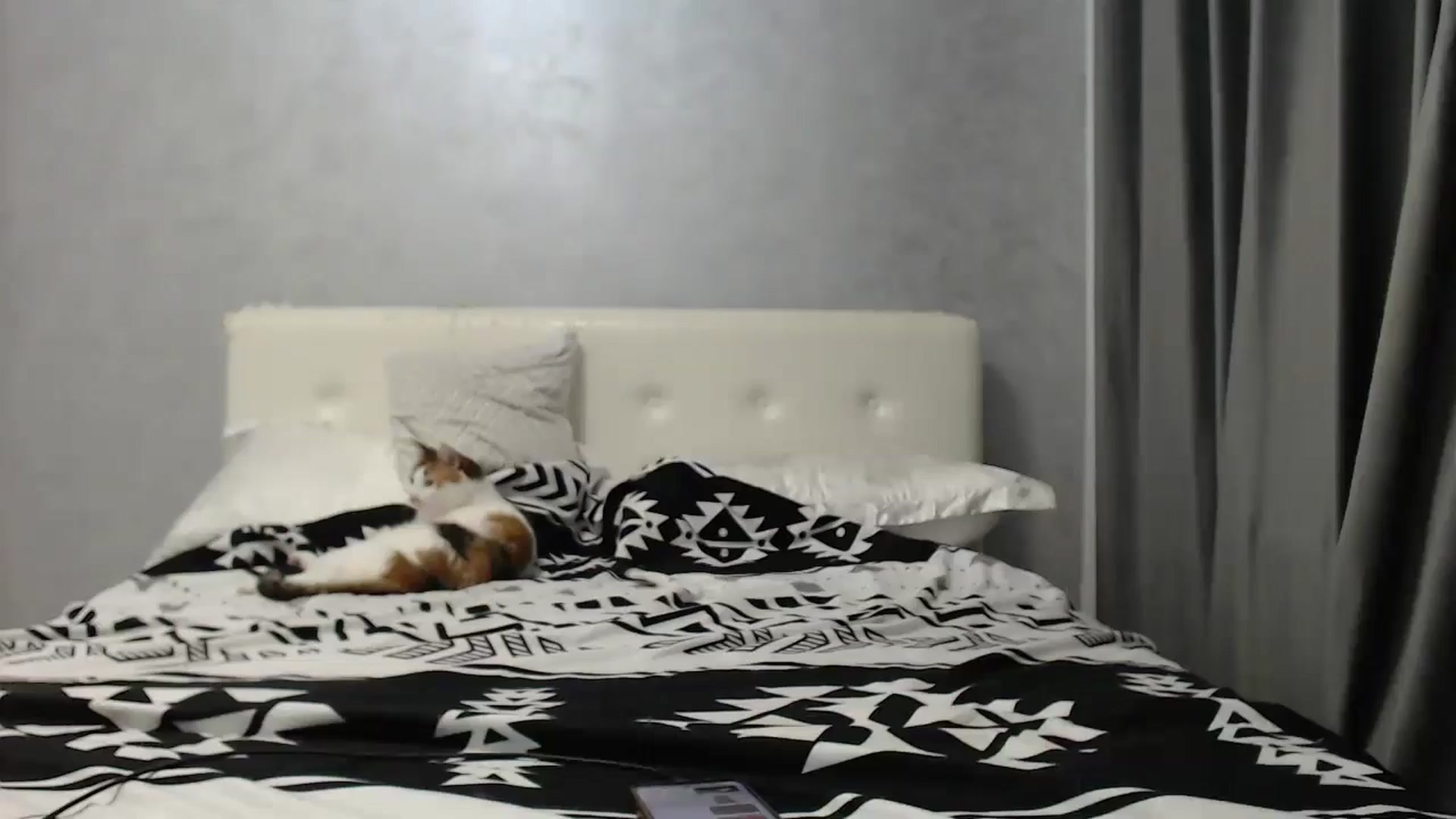 Gallery image thumbnail from Aahh_Emilia's myfreecams stream on, 07/31/2025, 16:48 image 6 of 20