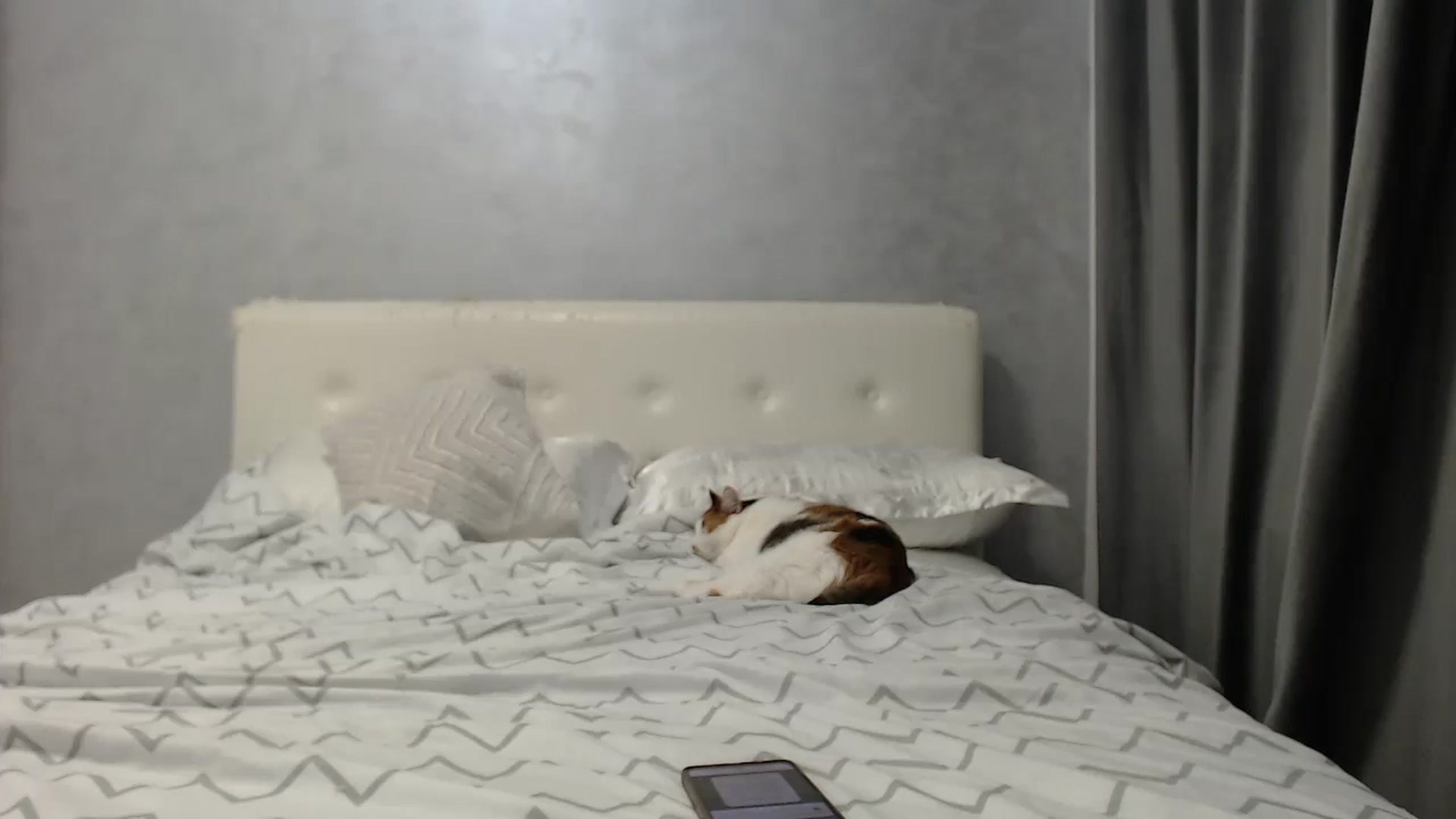 Gallery image thumbnail from Aahh_Emilia's myfreecams stream on, 08/02/2025, 16:22 image 9 of 20