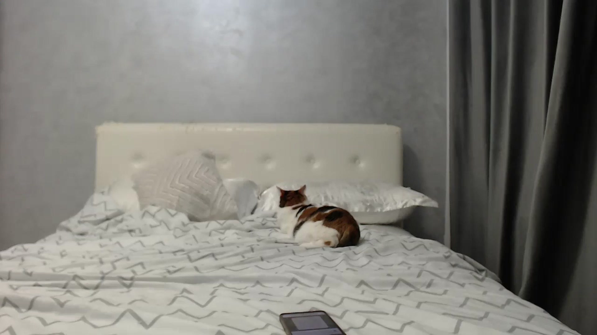 Gallery image thumbnail from Aahh_Emilia's myfreecams stream on, 08/02/2025, 16:22 image 10 of 20
