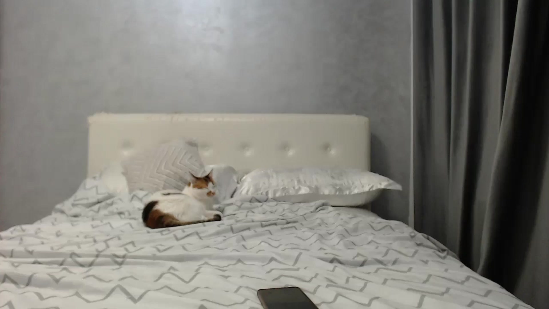 Gallery image thumbnail from Aahh_Emilia's myfreecams stream on, 08/02/2025, 16:22 image 12 of 20