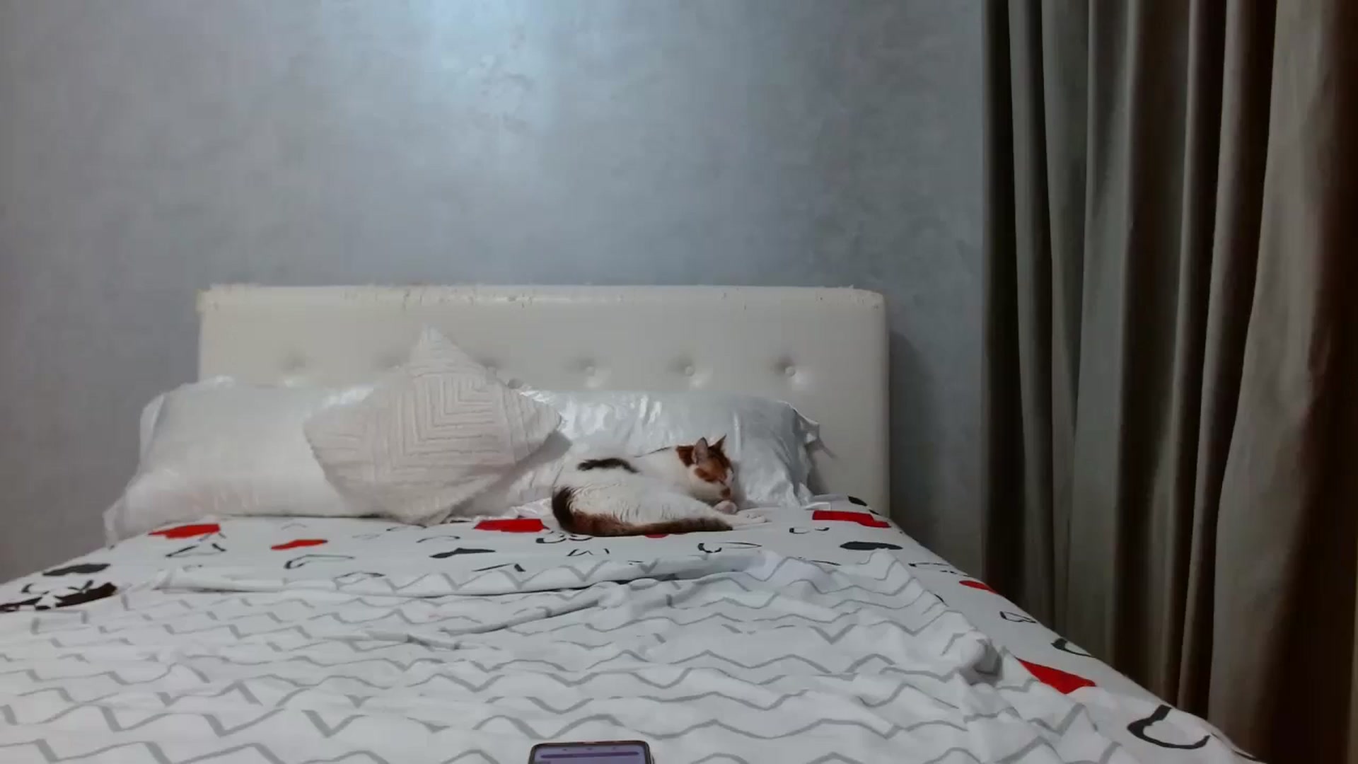 Gallery image thumbnail from Aahh_Emilia's myfreecams stream on, 08/19/2025, 16:25 image 13 of 20