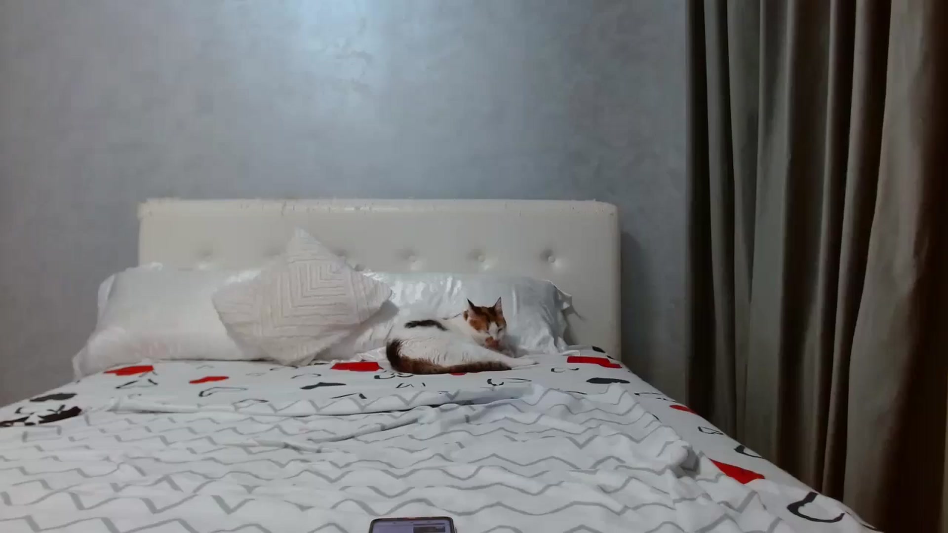 Gallery image thumbnail from Aahh_Emilia's myfreecams stream on, 08/19/2025, 16:25 image 14 of 20