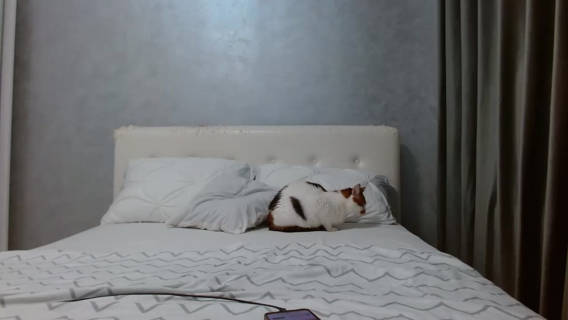 Gallery image thumbnail from Aahh_Emilia's myfreecams stream on, 08/23/2025, 16:55 image 7 of 20