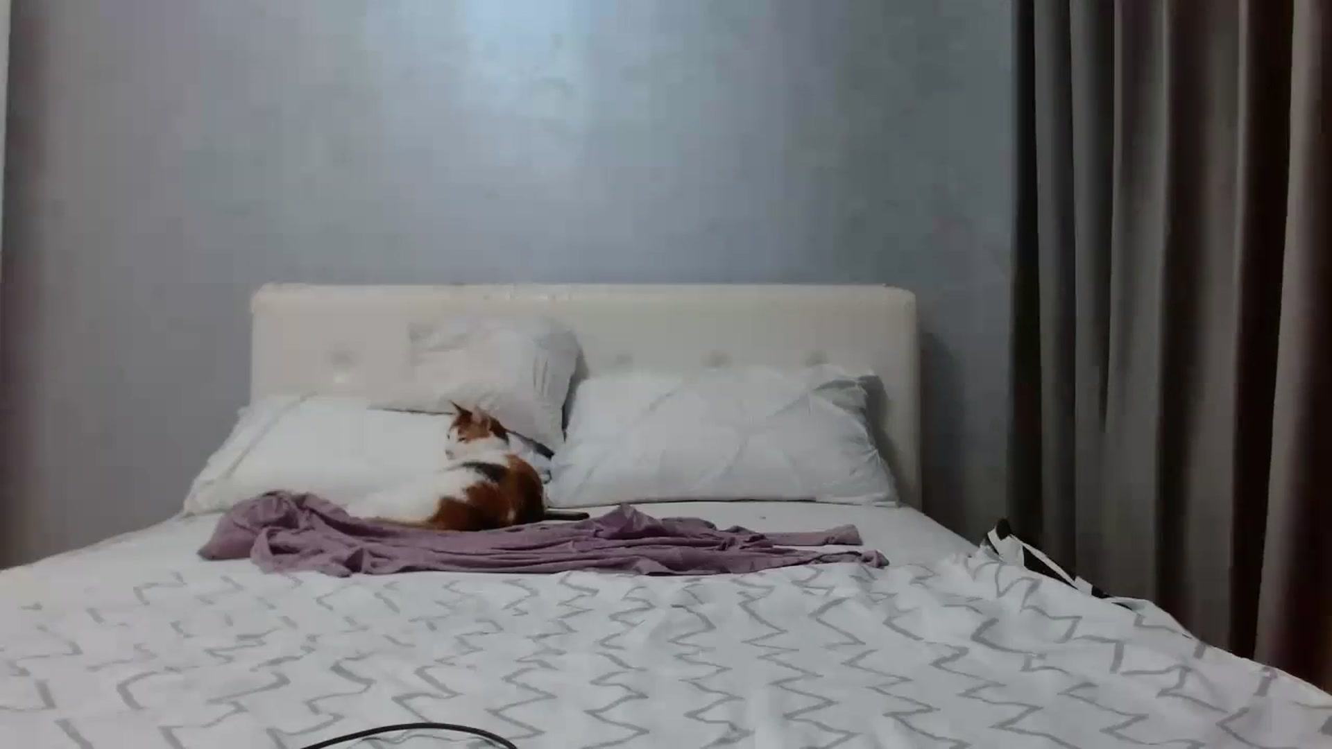 Gallery image thumbnail from Aahh_Emilia's myfreecams stream on, 08/25/2025, 16:14 image 13 of 20