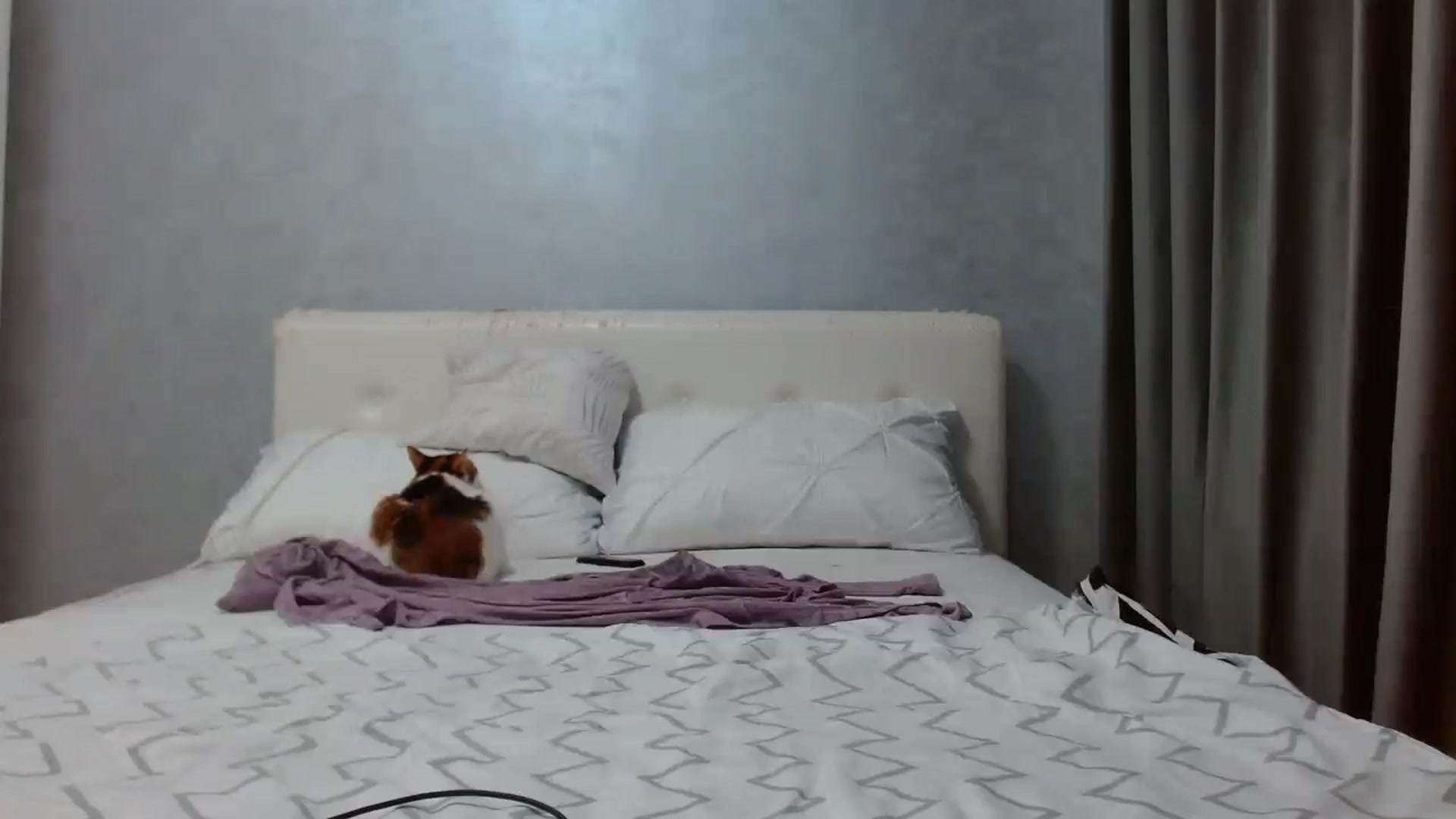 Gallery image thumbnail from Aahh_Emilia's myfreecams stream on, 08/25/2025, 16:14 image 16 of 20