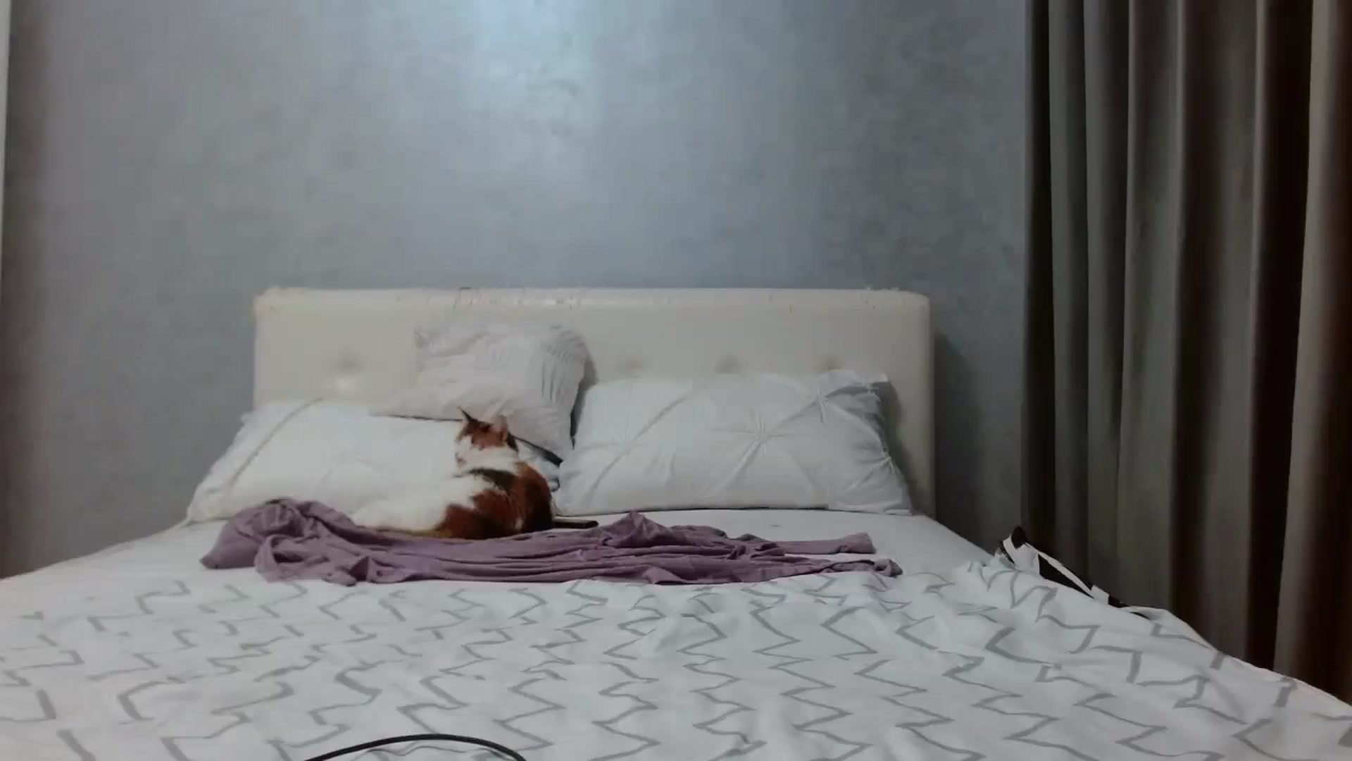 Gallery image thumbnail from Aahh_Emilia's myfreecams stream on, 08/25/2025, 16:14 image 15 of 20