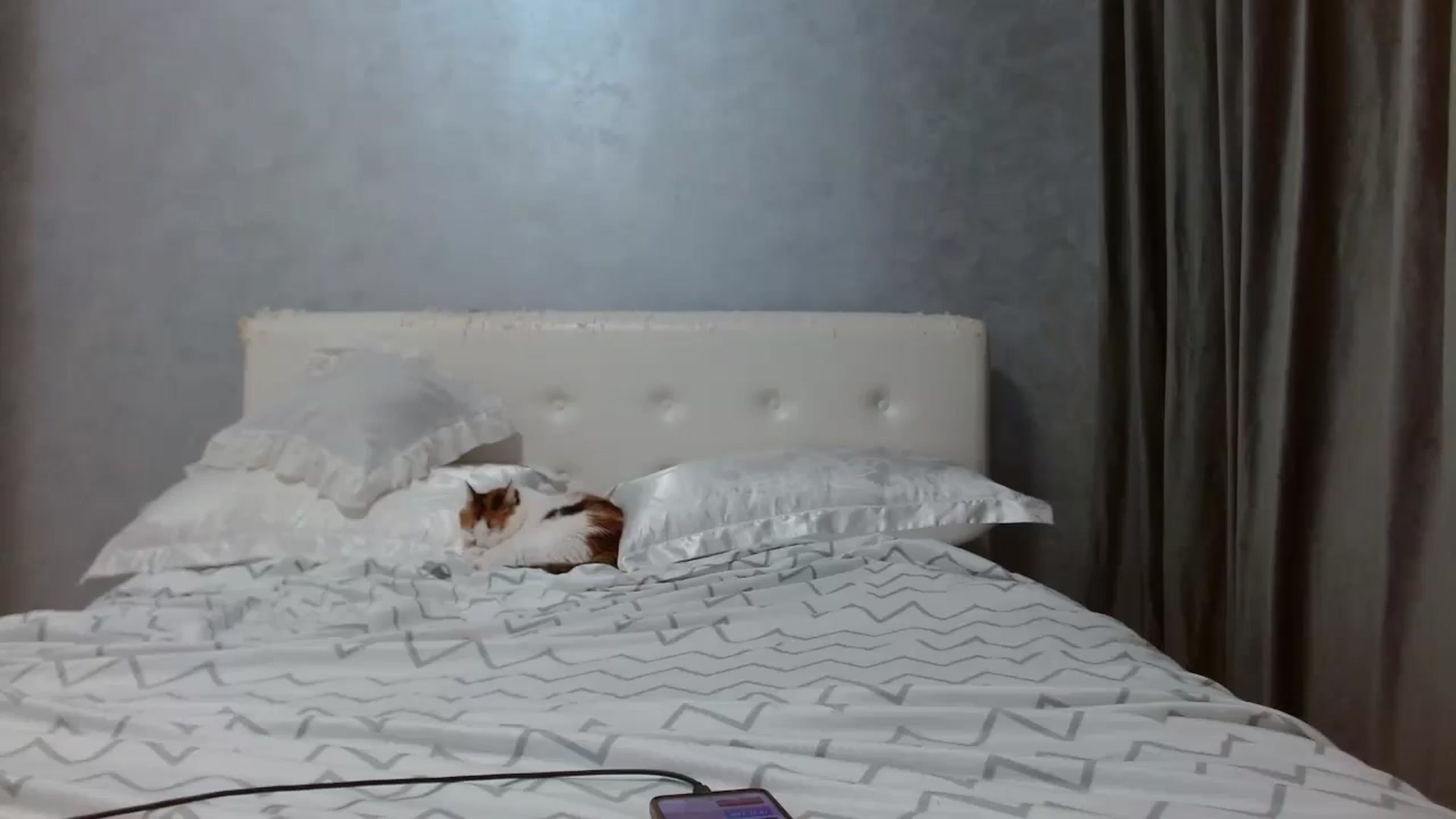 Gallery image thumbnail from Aahh_Emilia's myfreecams stream on, 09/04/2025, 16:02 image 20 of 20