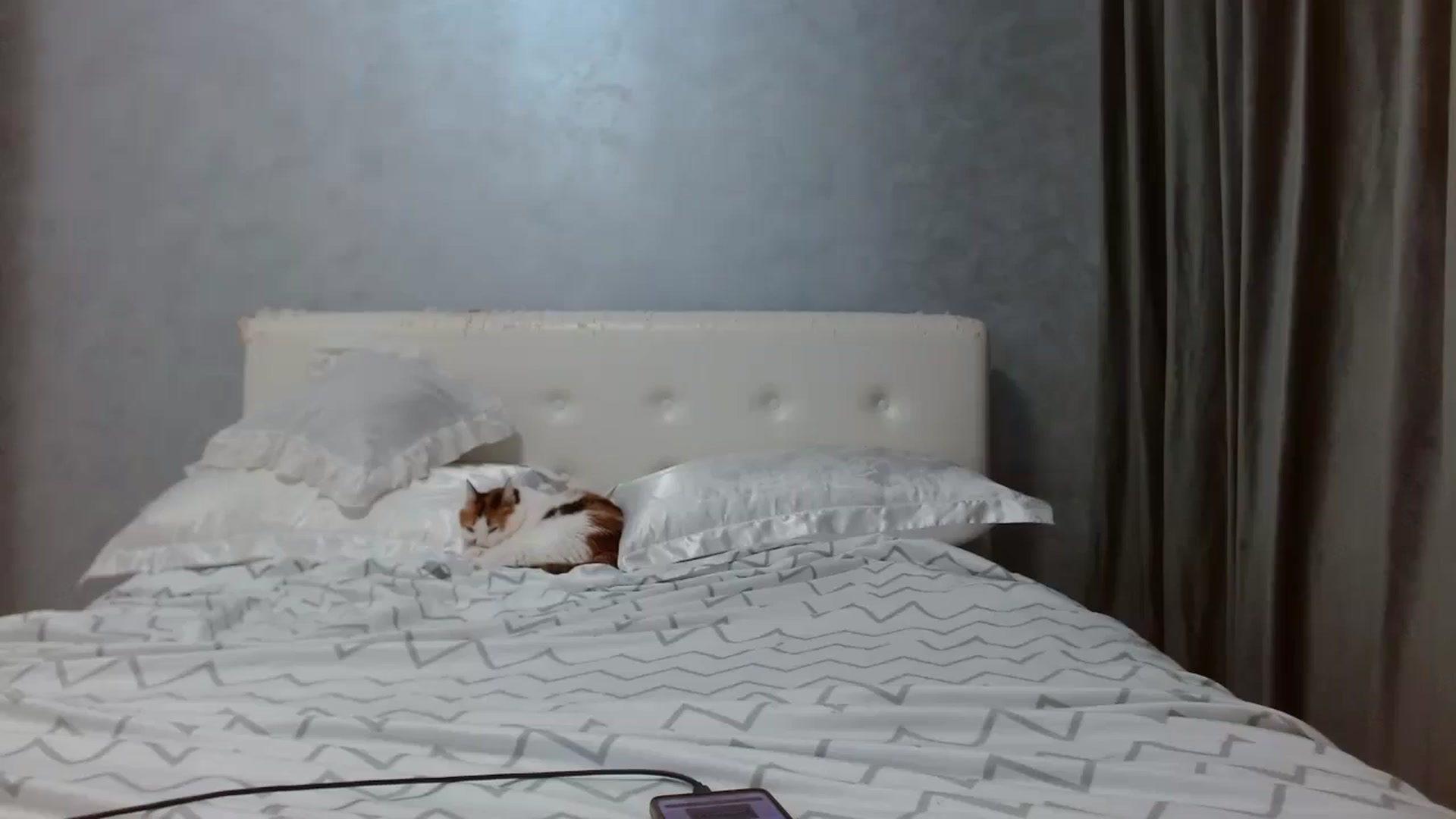 Gallery image thumbnail from Aahh_Emilia's myfreecams stream on, 09/04/2025, 16:02 image 18 of 20
