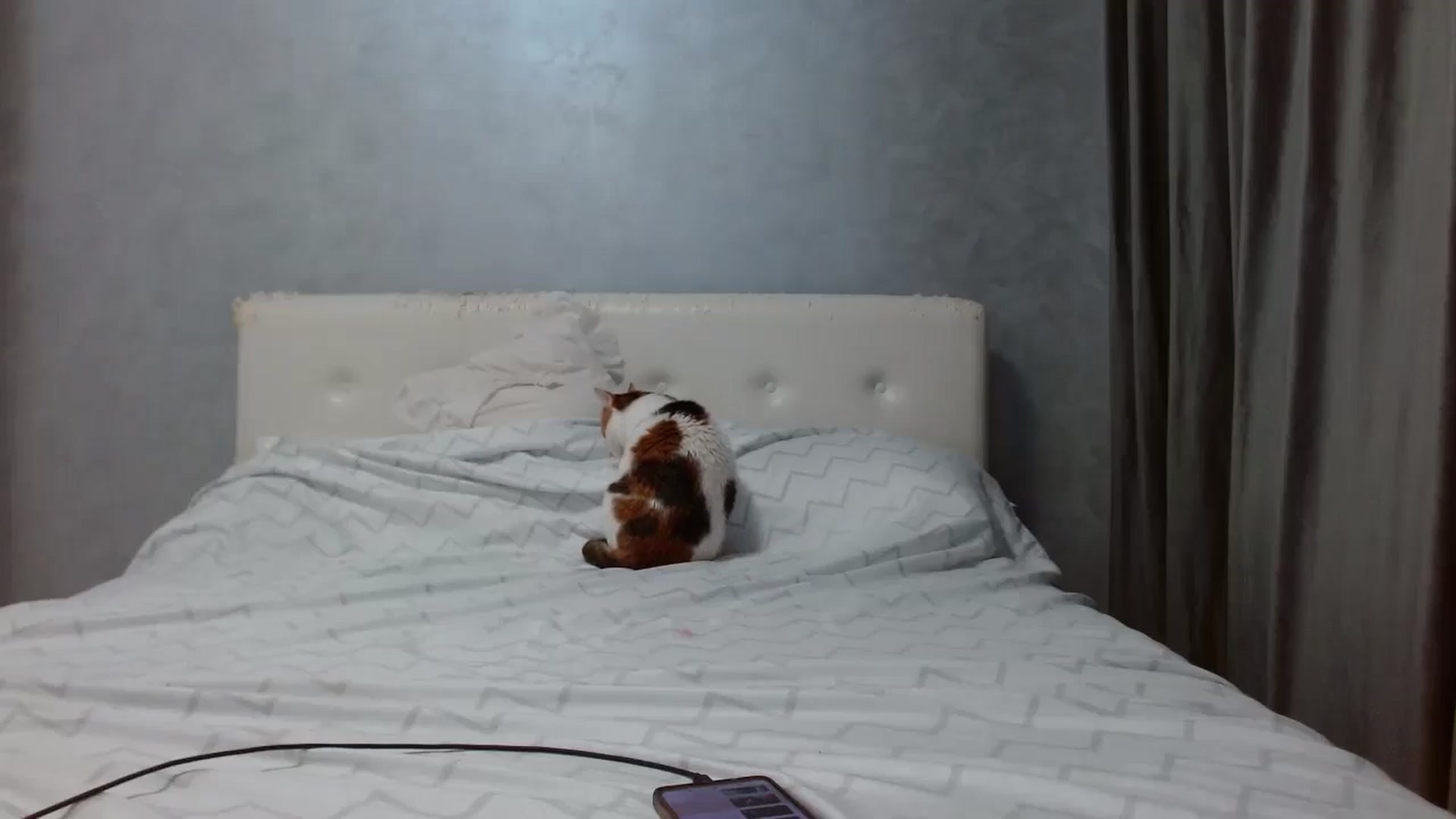 Gallery image thumbnail from Aahh_Emilia's myfreecams stream on, 09/08/2025, 16:08 image 11 of 20
