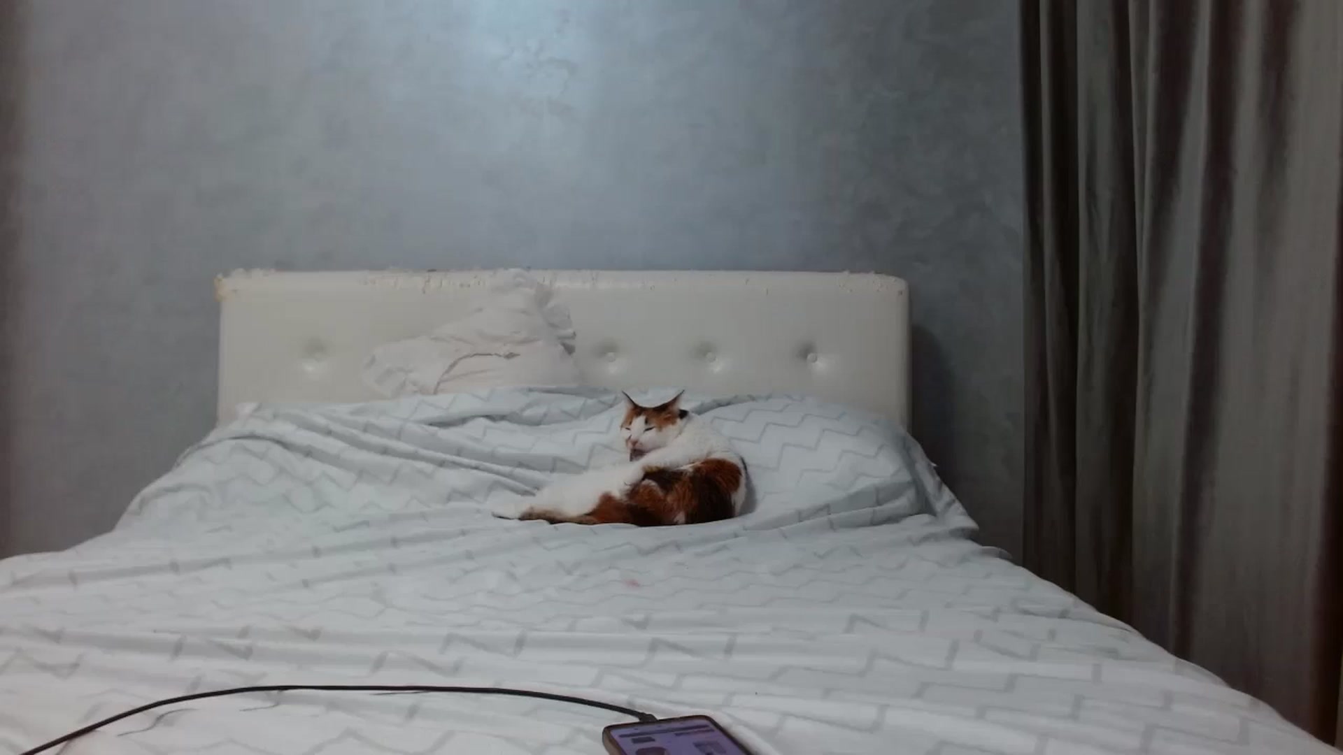 Gallery image thumbnail from Aahh_Emilia's myfreecams stream on, 09/08/2025, 16:08 image 12 of 20