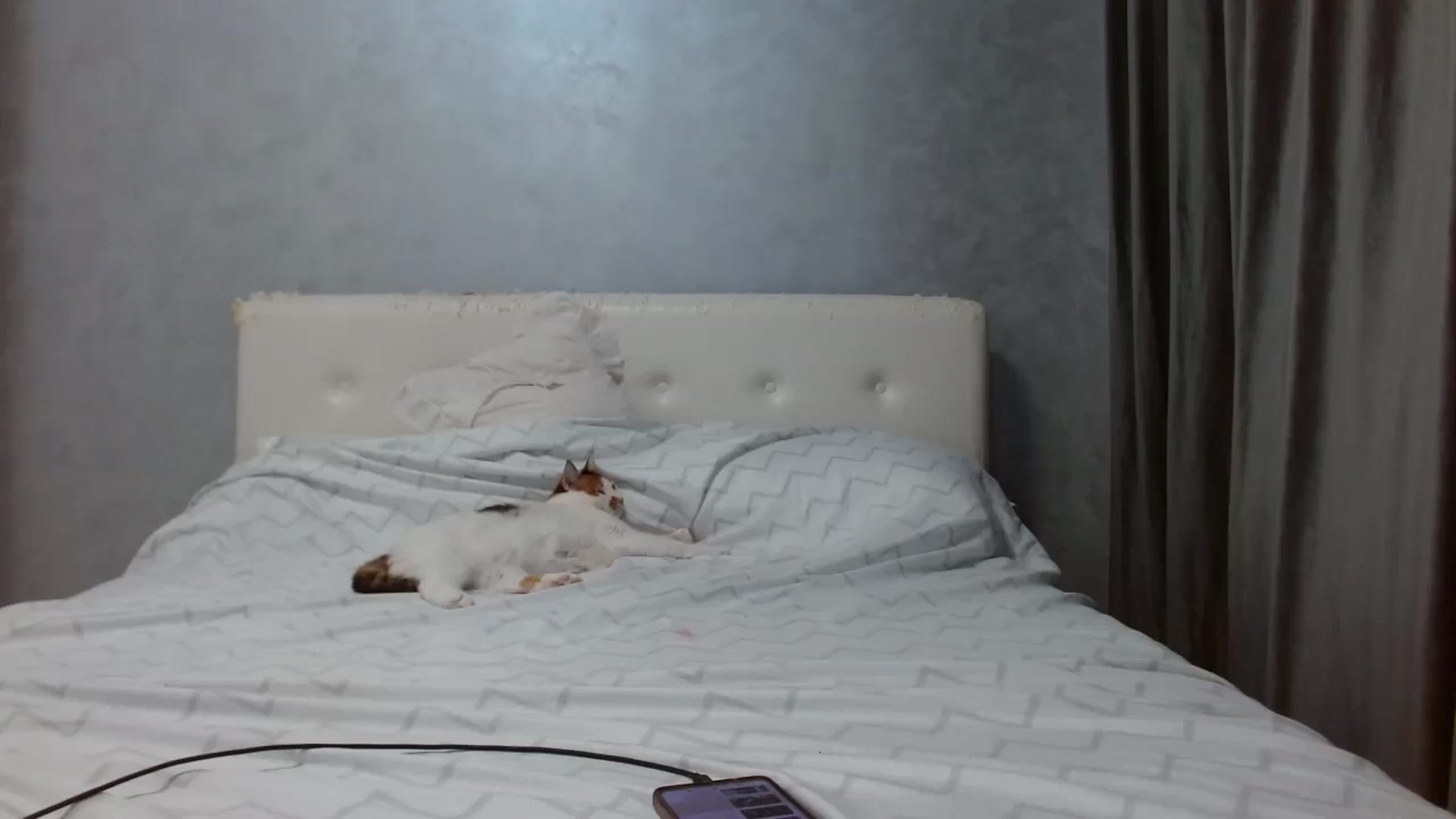 Gallery image thumbnail from Aahh_Emilia's myfreecams stream on, 09/08/2025, 16:08 image 10 of 20