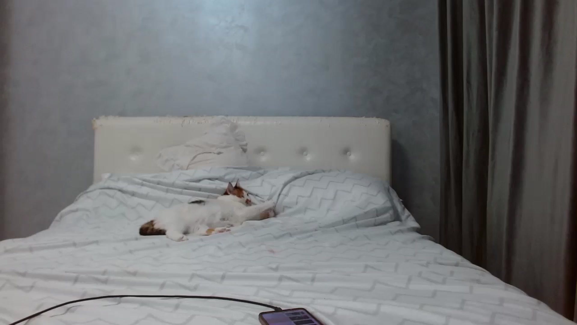 Gallery image thumbnail from Aahh_Emilia's myfreecams stream on, 09/08/2025, 16:08 image 9 of 20