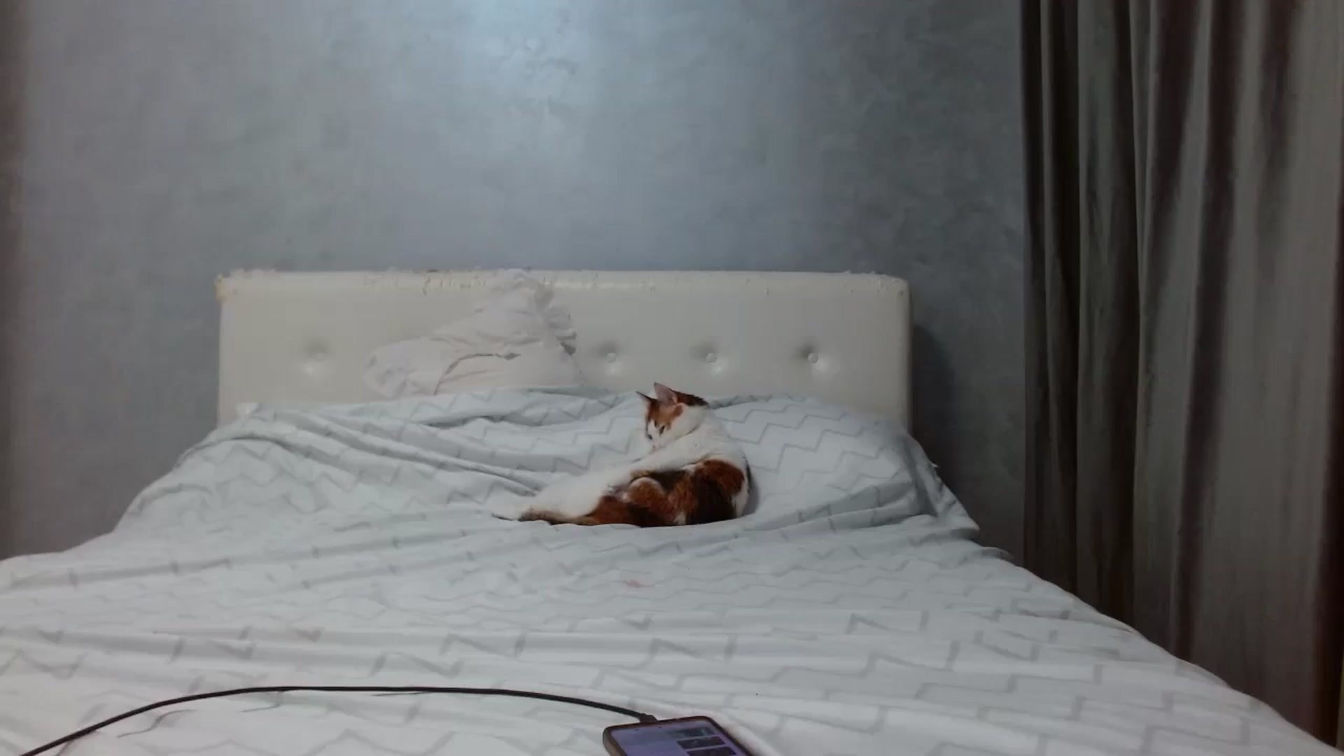 Gallery image thumbnail from Aahh_Emilia's myfreecams stream on, 09/08/2025, 16:08 image 13 of 20