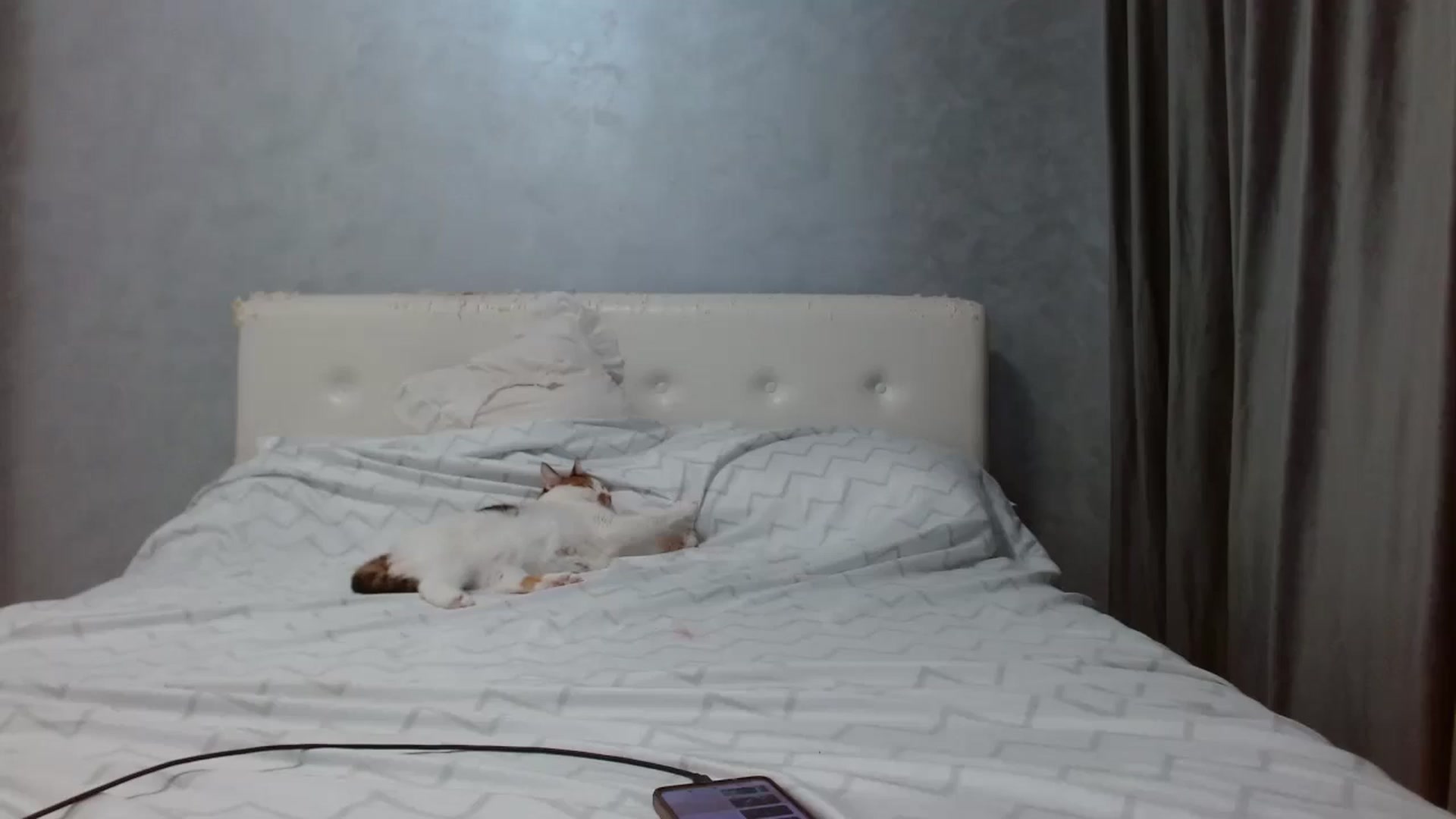 Gallery image thumbnail from Aahh_Emilia's myfreecams stream on, 09/08/2025, 16:08 image 8 of 20