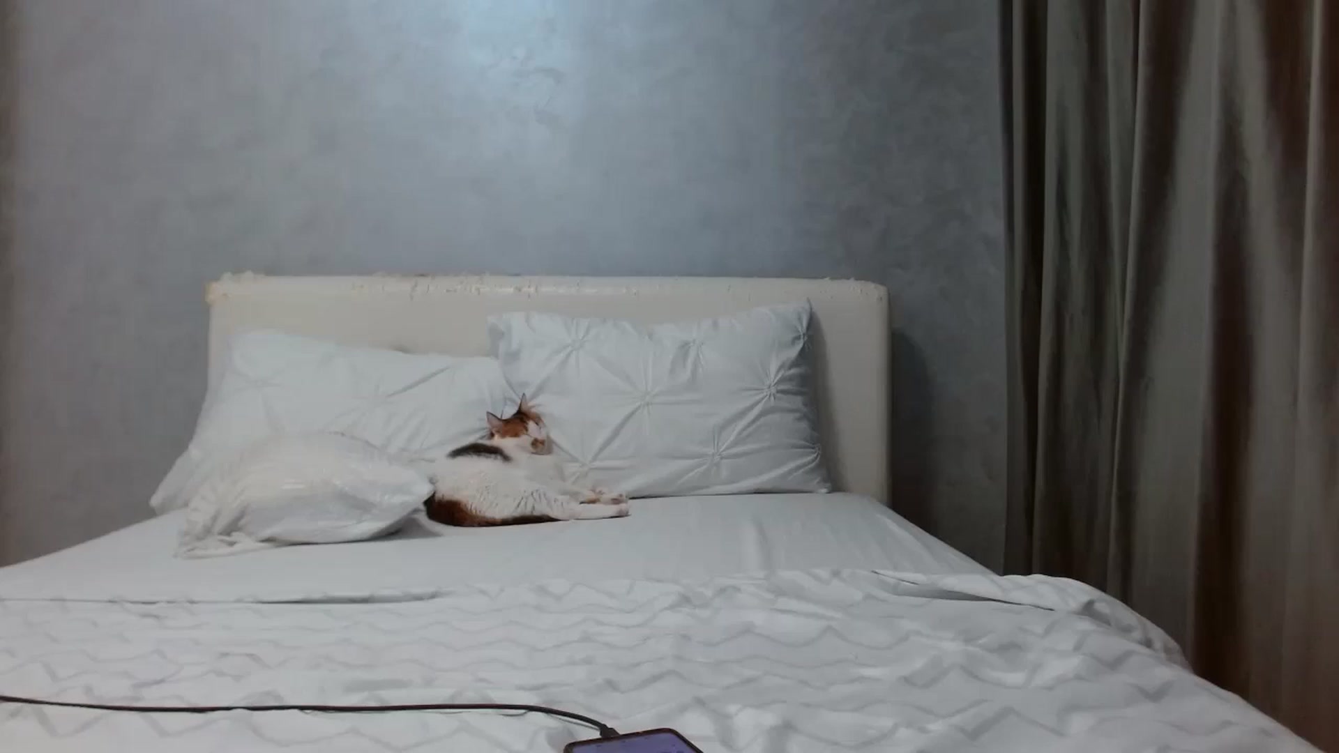 Gallery image thumbnail from Aahh_Emilia's myfreecams stream on, 09/10/2025, 17:05 image 19 of 20