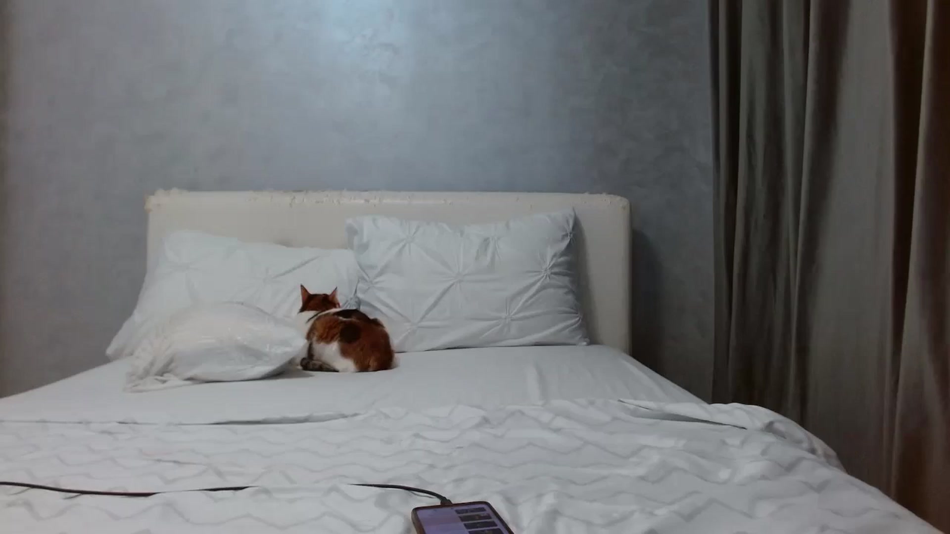 Gallery image thumbnail from Aahh_Emilia's myfreecams stream on, 09/10/2025, 17:05 image 10 of 20