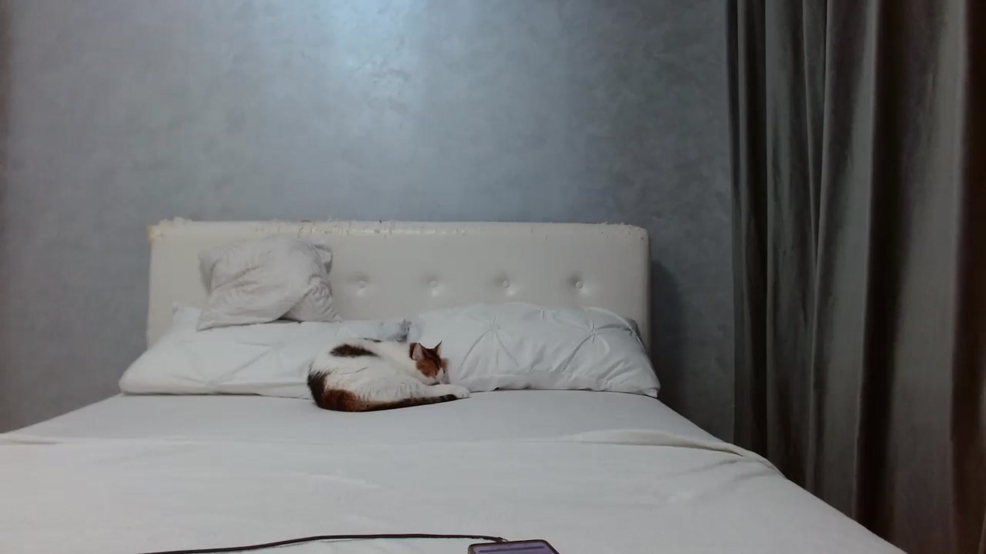Gallery image thumbnail from Aahh_Emilia's myfreecams stream on, 09/15/2025, 16:36 image 15 of 20