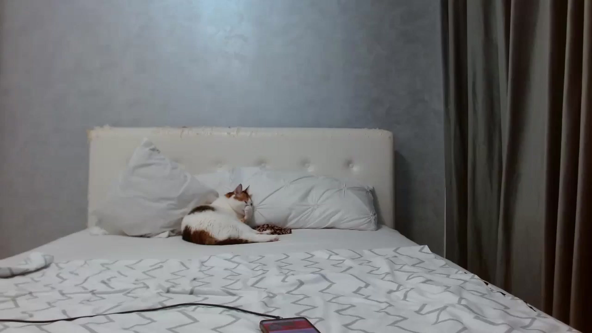 Gallery image thumbnail from Aahh_Emilia's myfreecams stream on, 09/23/2025, 16:05 image 18 of 20
