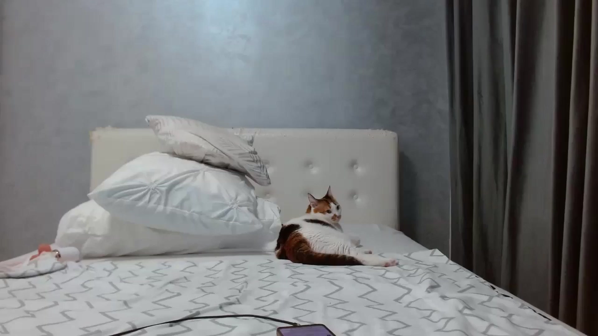 Gallery image thumbnail from Aahh_Emilia's myfreecams stream on, 09/23/2025, 17:22 image 10 of 20