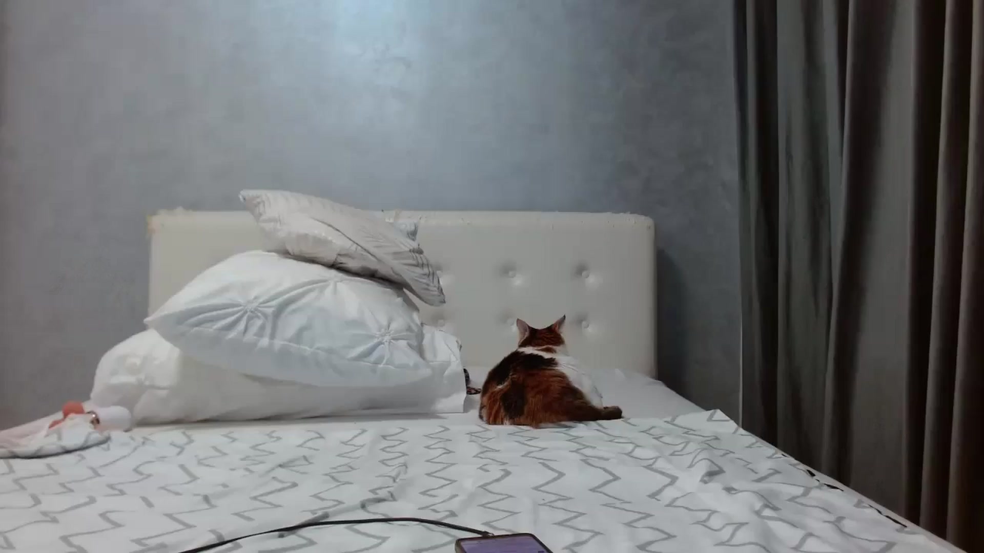 Gallery image thumbnail from Aahh_Emilia's myfreecams stream on, 09/23/2025, 17:22 image 9 of 20
