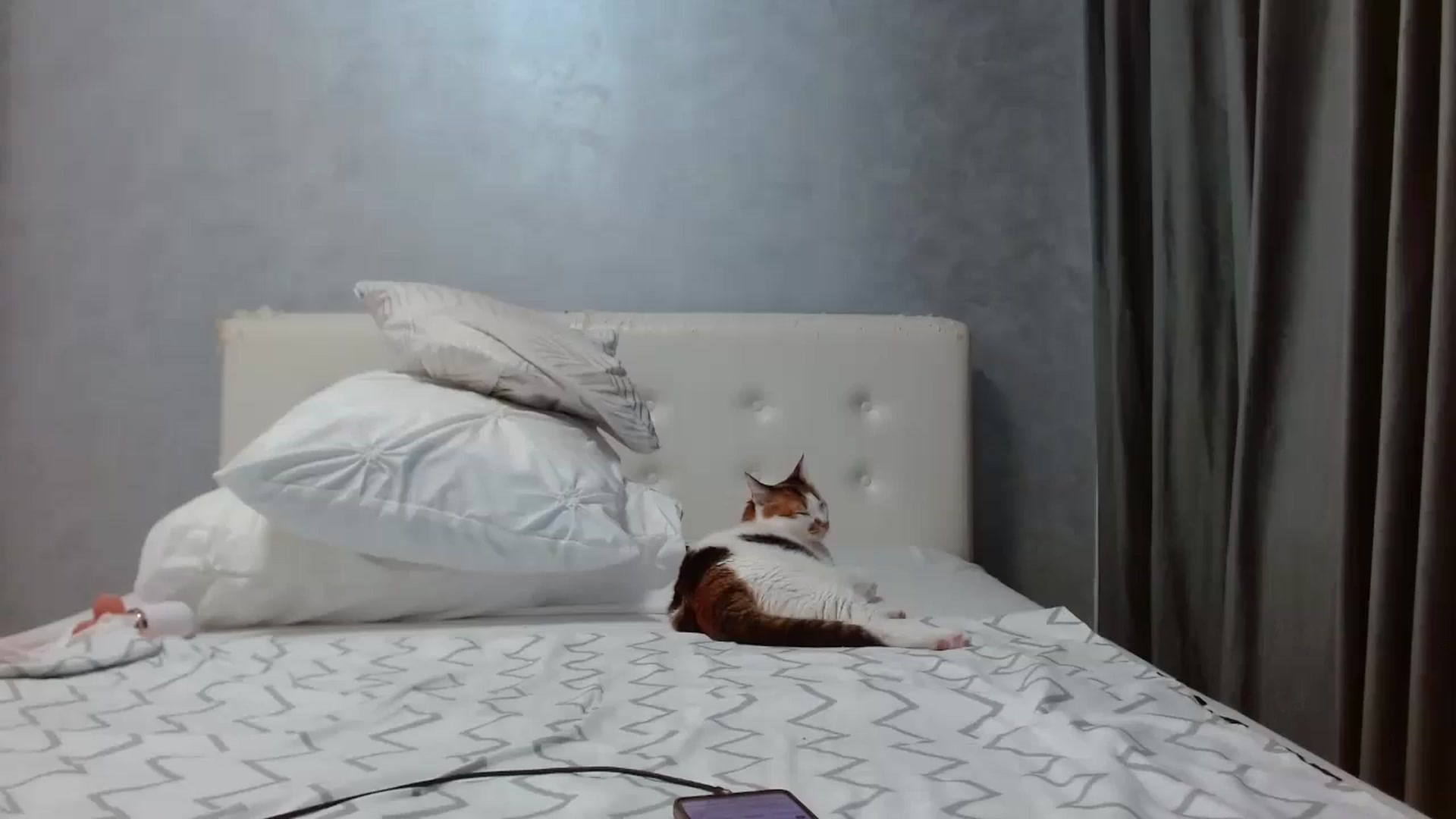 Gallery image thumbnail from Aahh_Emilia's myfreecams stream on, 09/23/2025, 17:22 image 11 of 20