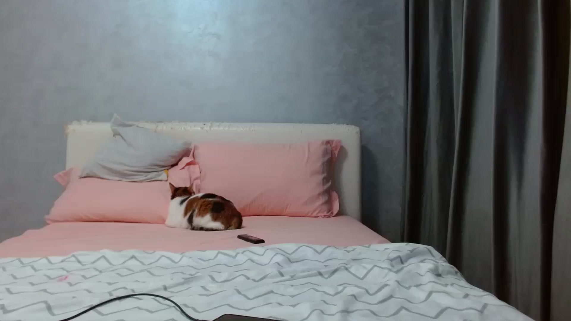 Gallery image thumbnail from Aahh_Emilia's myfreecams stream on, 10/02/2025, 16:24 image 19 of 20