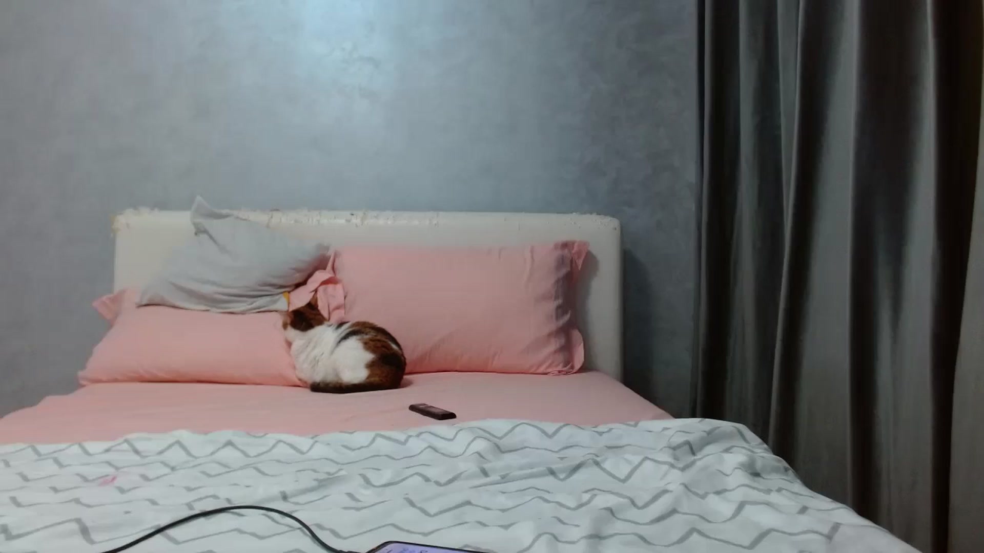 Gallery image thumbnail from Aahh_Emilia's myfreecams stream on, 10/02/2025, 16:24 image 17 of 20