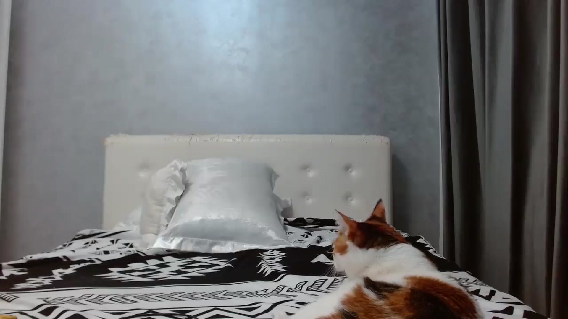 Gallery image thumbnail from Aahh_Emilia's myfreecams stream on, 10/13/2025, 17:42 image 17 of 20