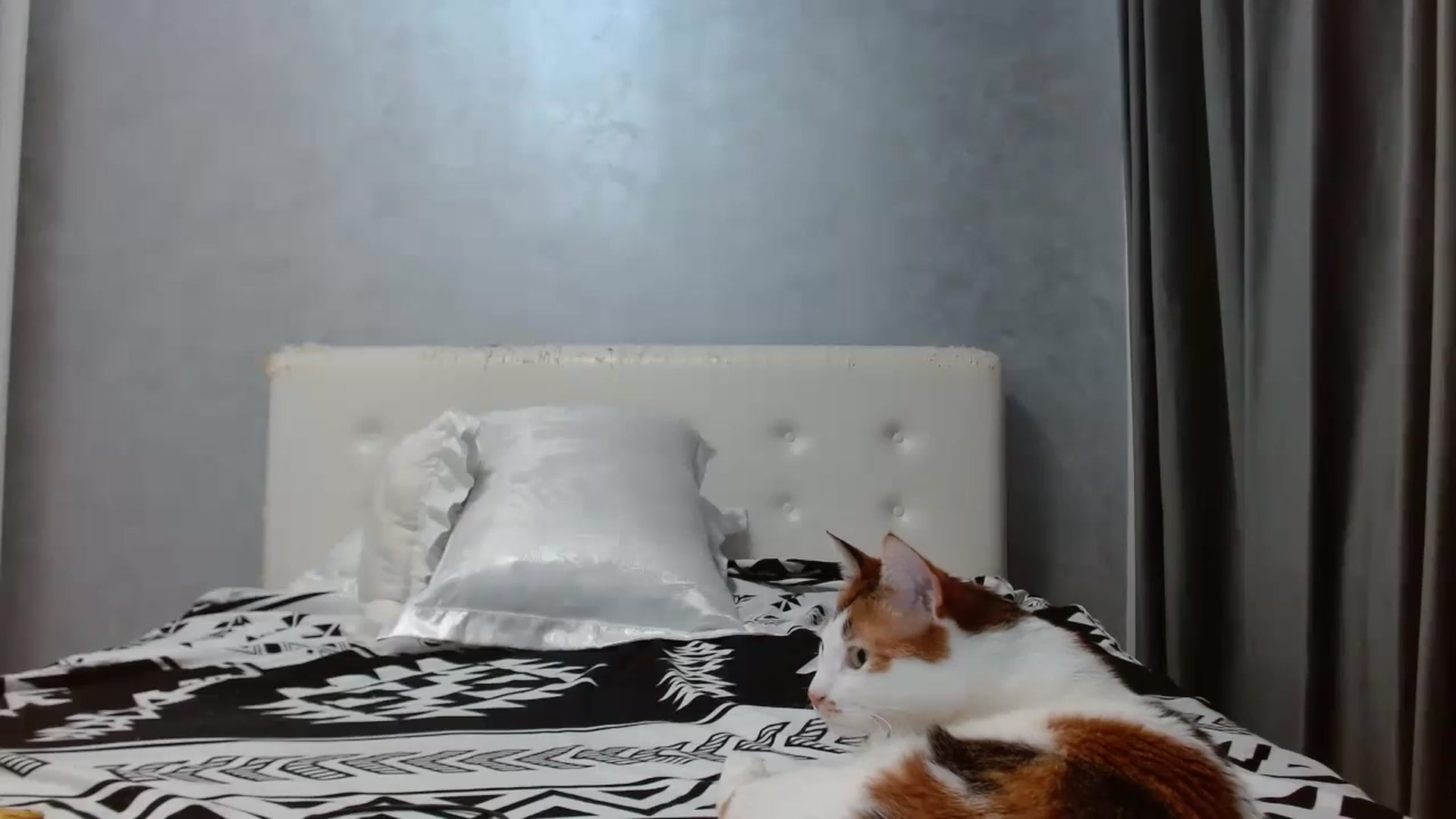 Gallery image thumbnail from Aahh_Emilia's myfreecams stream on, 10/13/2025, 17:42 image 16 of 20