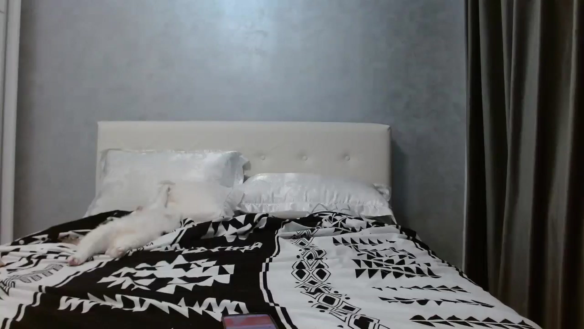 Gallery image thumbnail from Aahh_Emilia's myfreecams stream on, 10/14/2025, 16:16 image 12 of 20