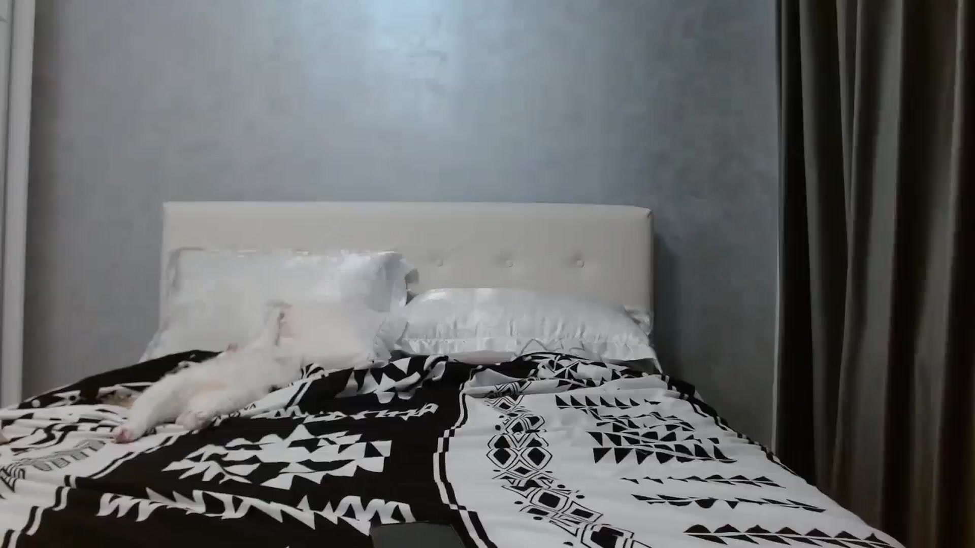 Gallery image thumbnail from Aahh_Emilia's myfreecams stream on, 10/14/2025, 16:16 image 13 of 20