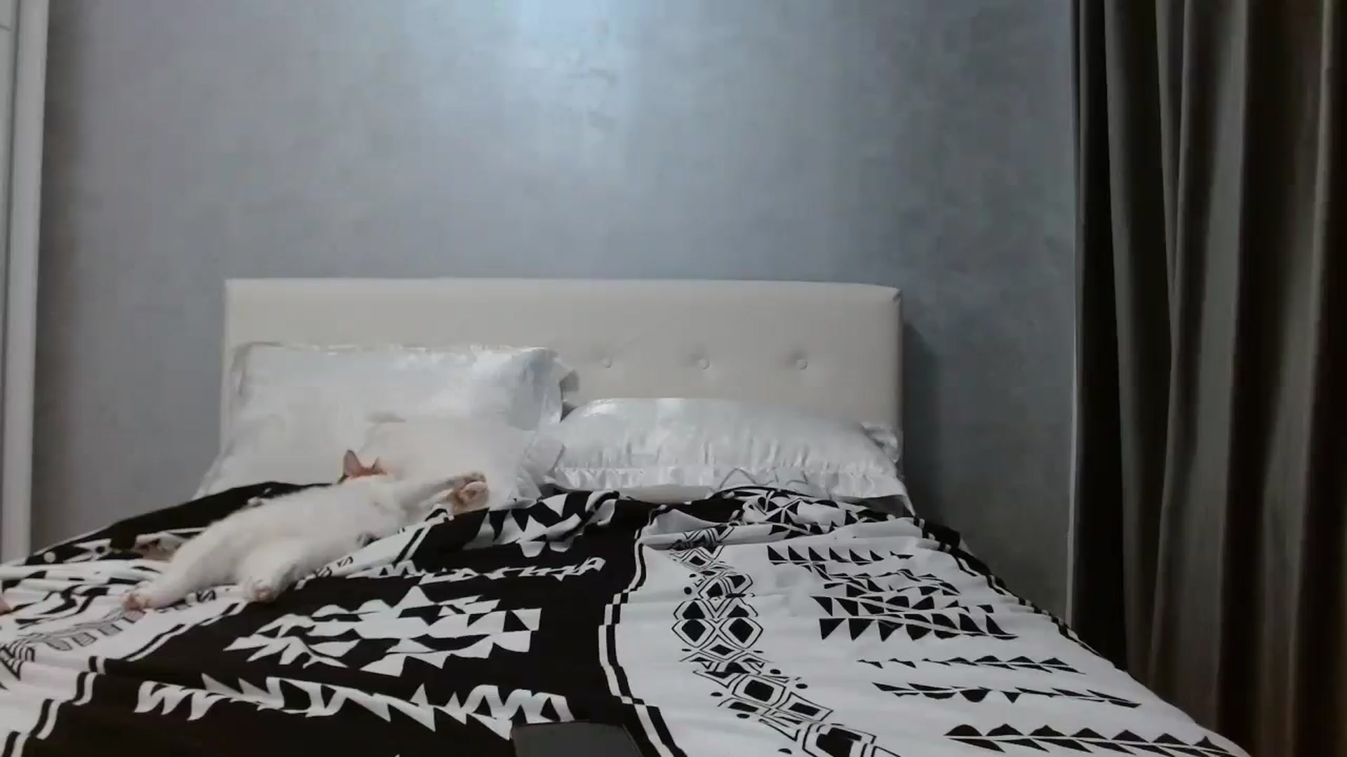Gallery image thumbnail from Aahh_Emilia's myfreecams stream on, 10/14/2025, 16:16 image 14 of 20