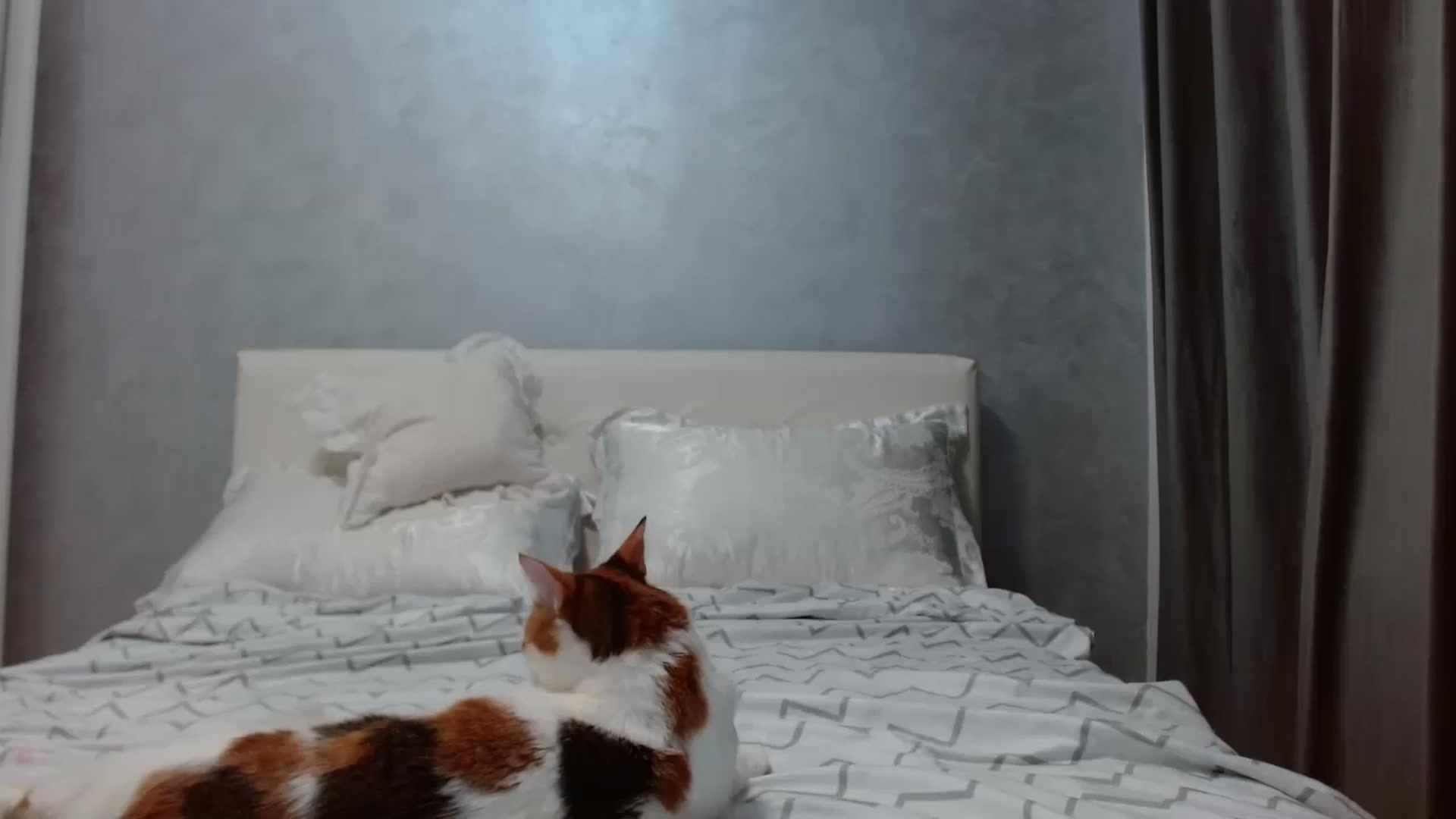 Gallery image thumbnail from Aahh_Emilia's myfreecams stream on, 10/16/2025, 16:16 image 14 of 20