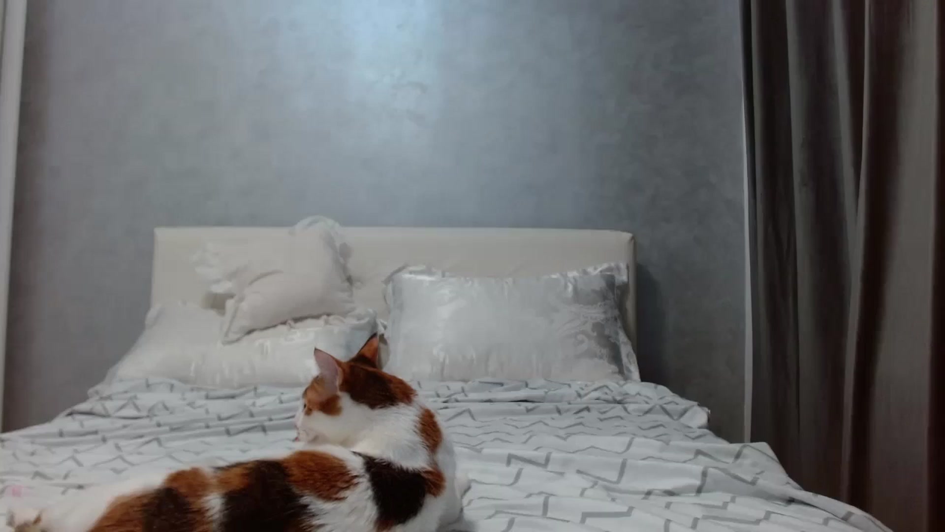 Gallery image thumbnail from Aahh_Emilia's myfreecams stream on, 10/16/2025, 16:16 image 15 of 20