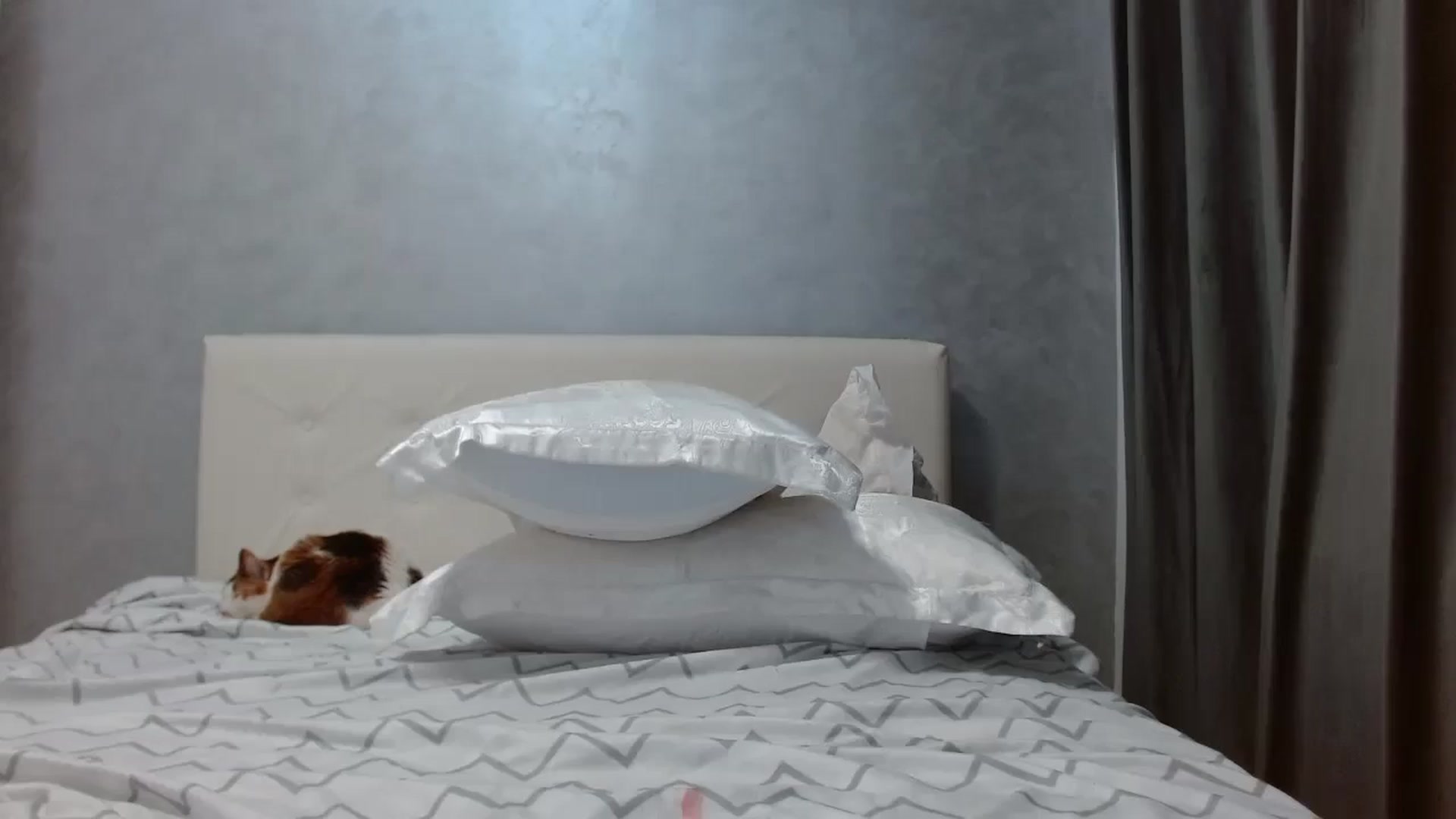Gallery image thumbnail from Aahh_Emilia's myfreecams stream on, 10/16/2025, 17:49 image 17 of 20