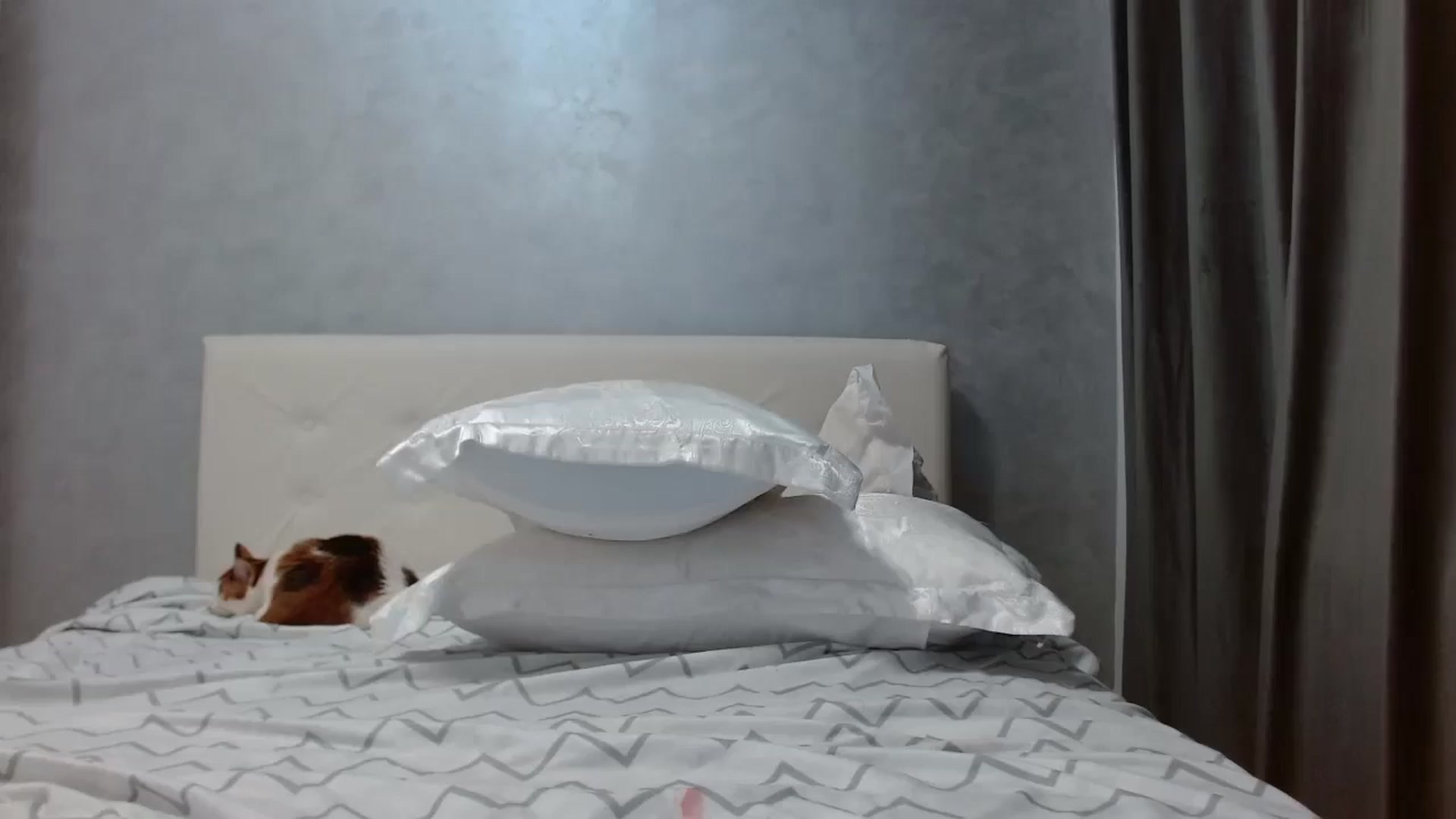 Gallery image thumbnail from Aahh_Emilia's myfreecams stream on, 10/16/2025, 17:49 image 19 of 20