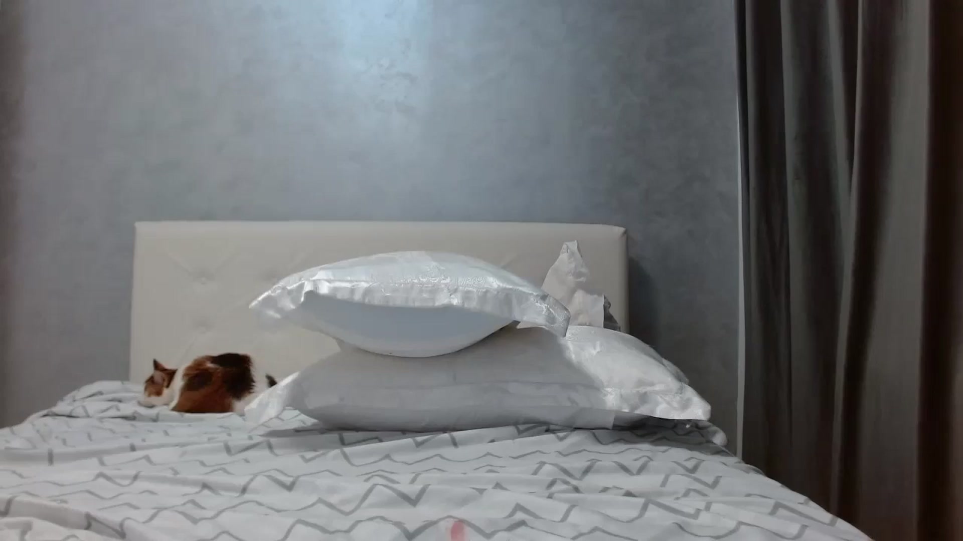 Gallery image thumbnail from Aahh_Emilia's myfreecams stream on, 10/16/2025, 17:49 image 18 of 20